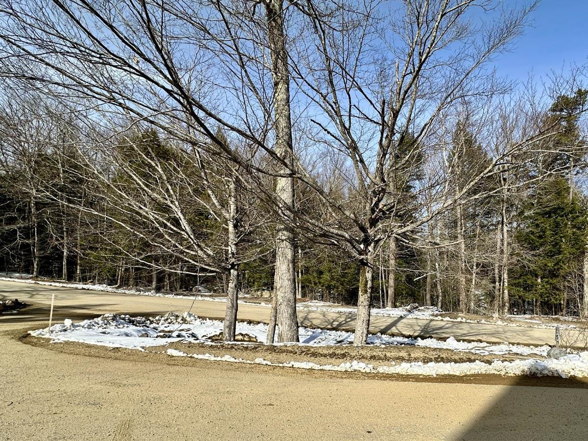 43 Tenney Brook Road Property Photo 29