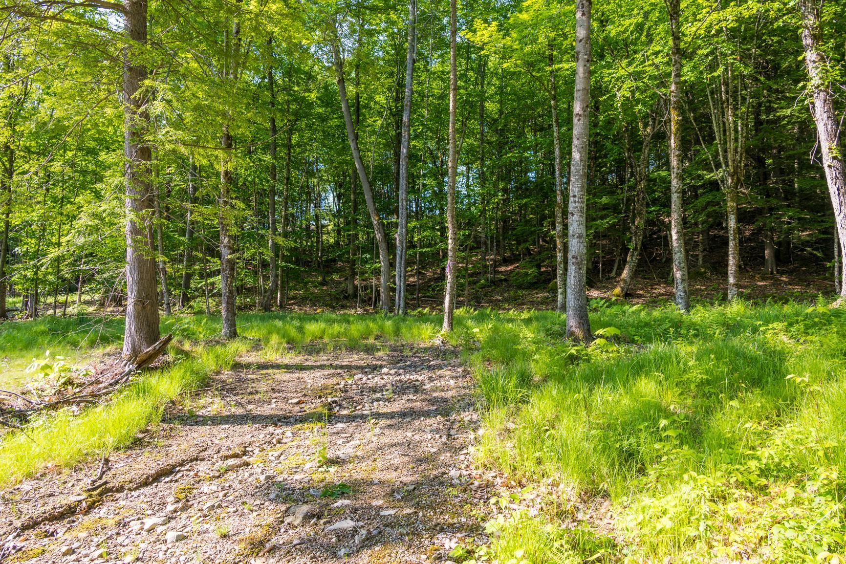 Lot 11 Greenwood Lane Property Photo 15
