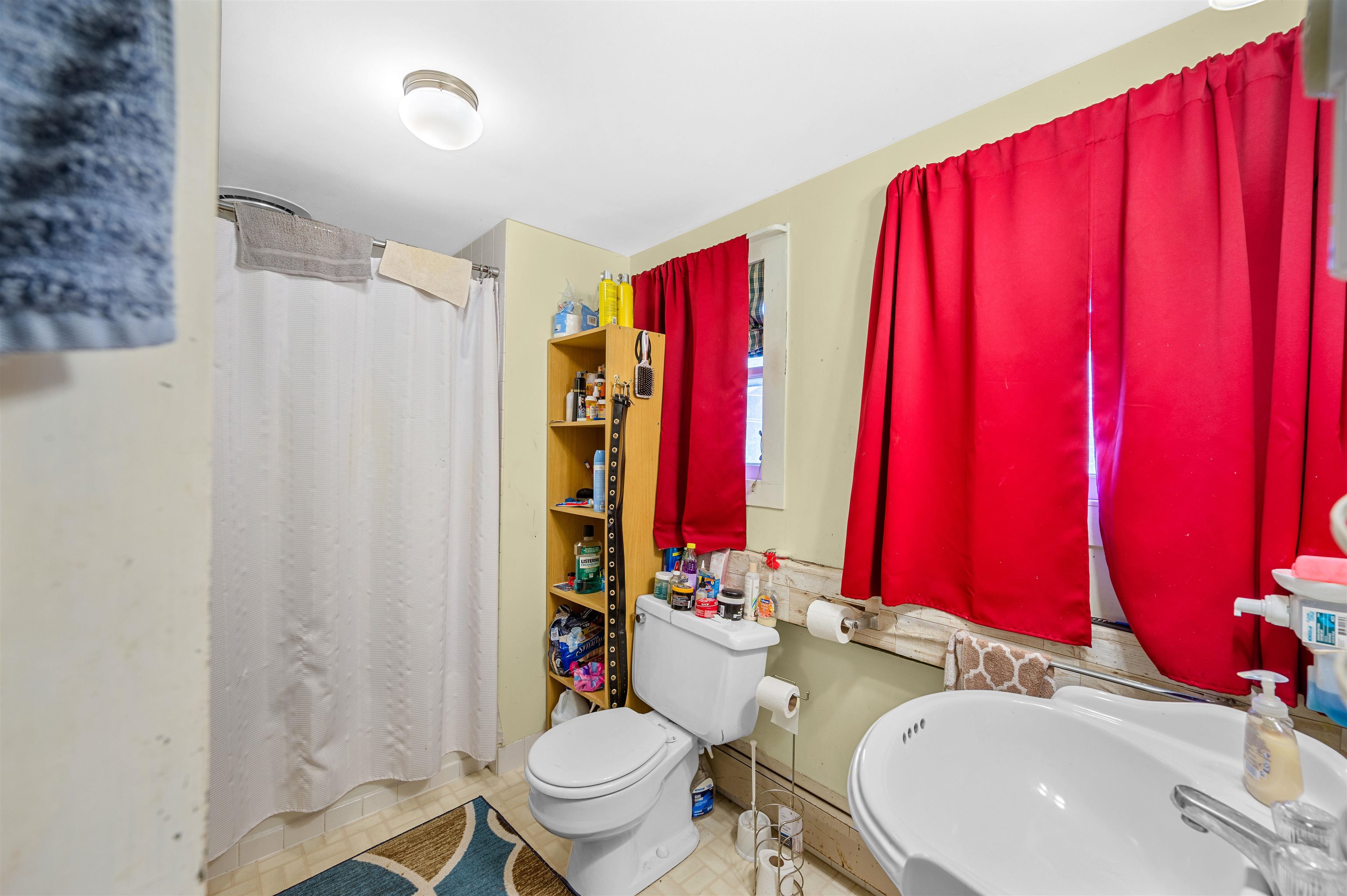 14 Barrows Road Property Photo 10