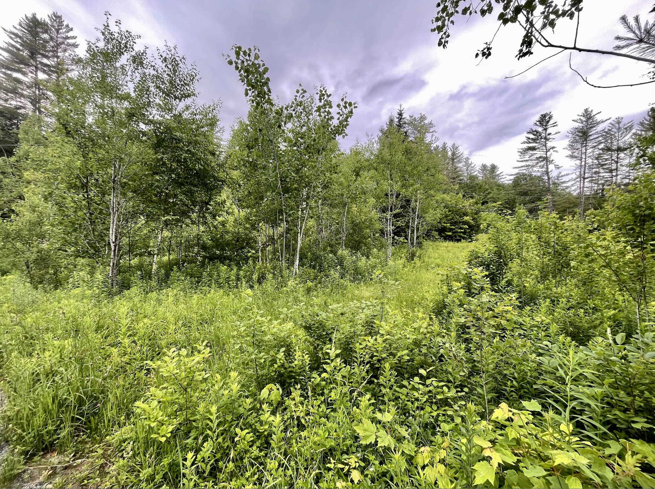 4769 Pikes Falls Road Property Photo 6