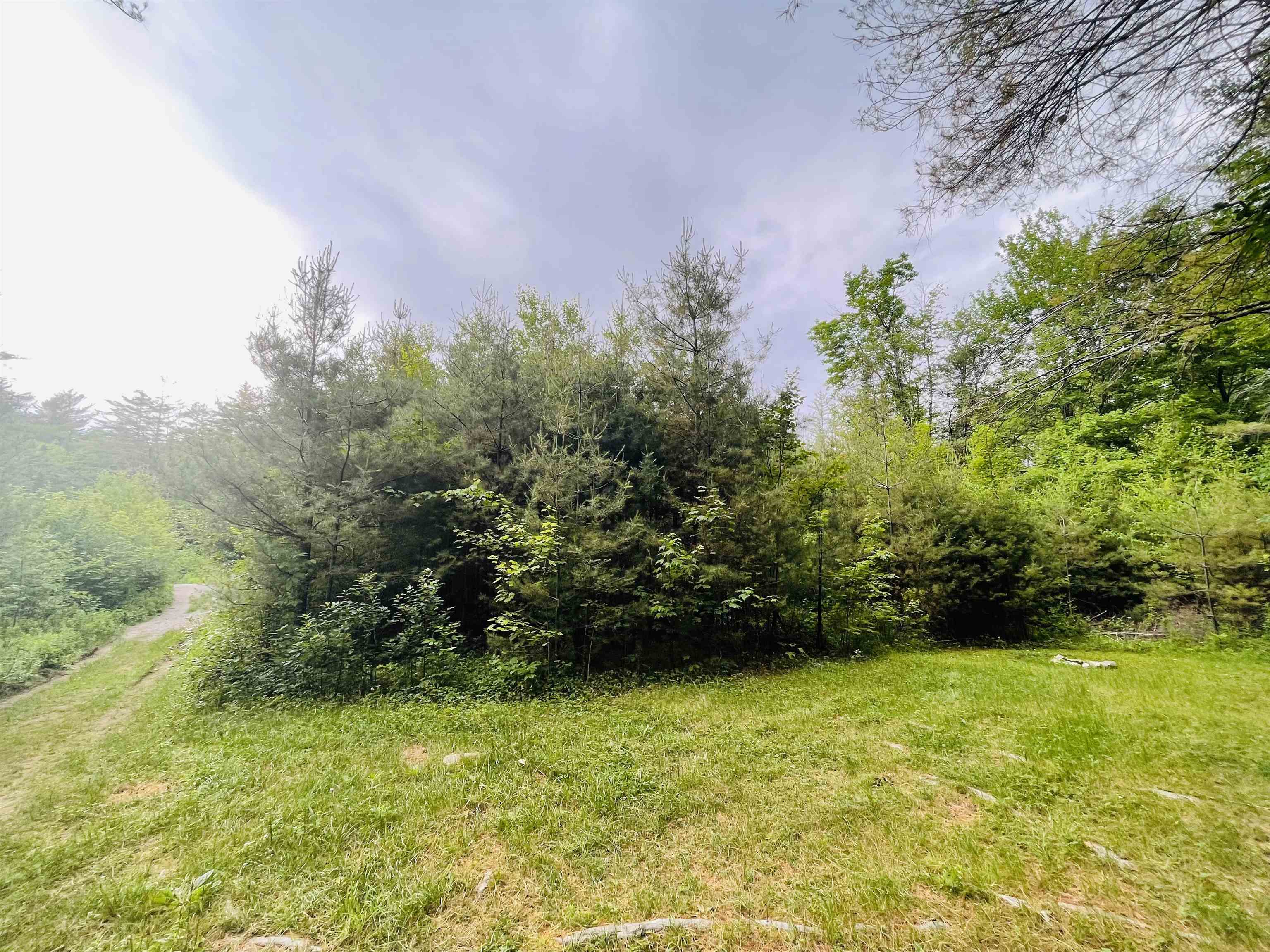 4769 Pikes Falls Road Property Photo 7