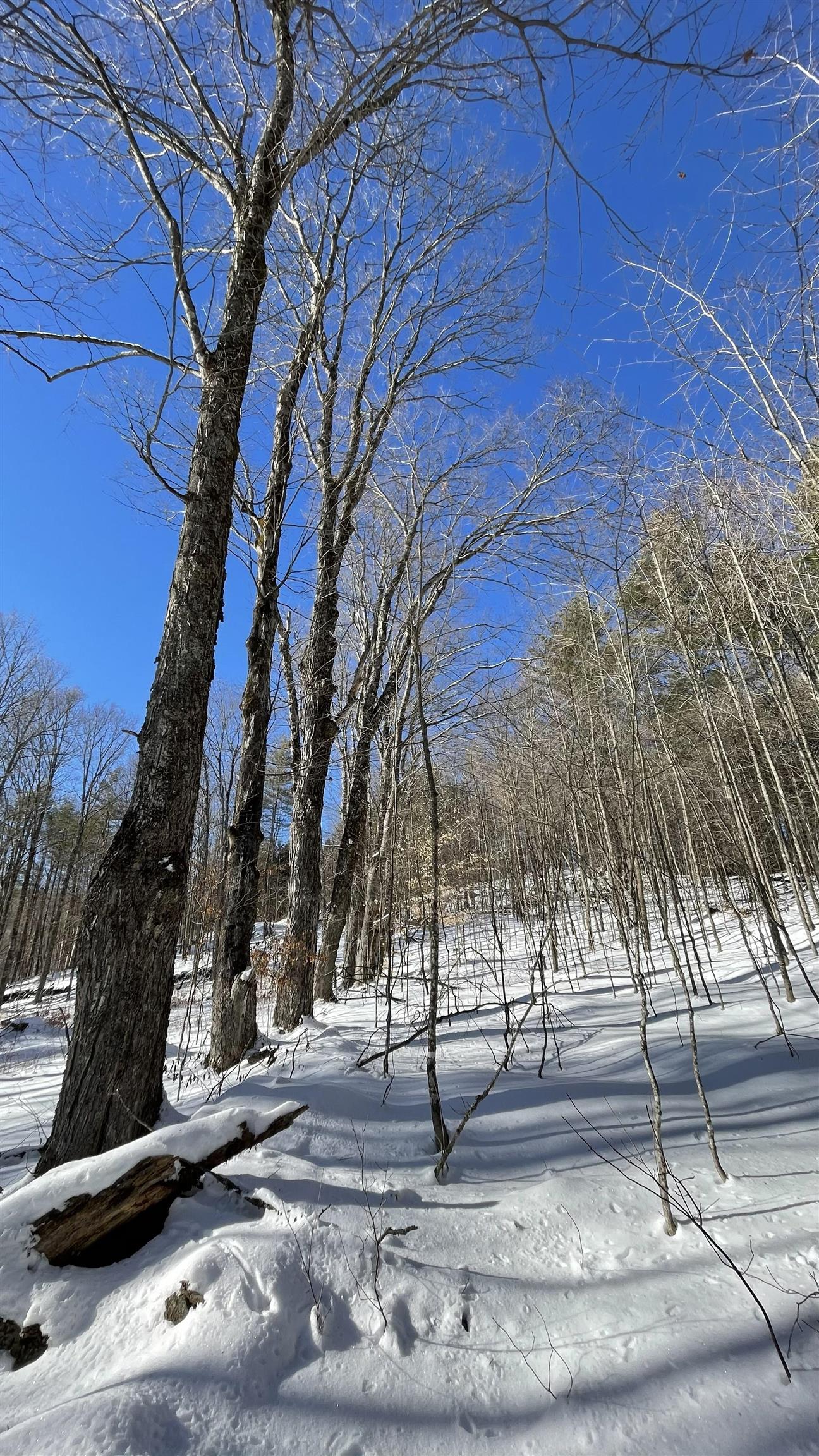 Masterson Road Property Photo 3