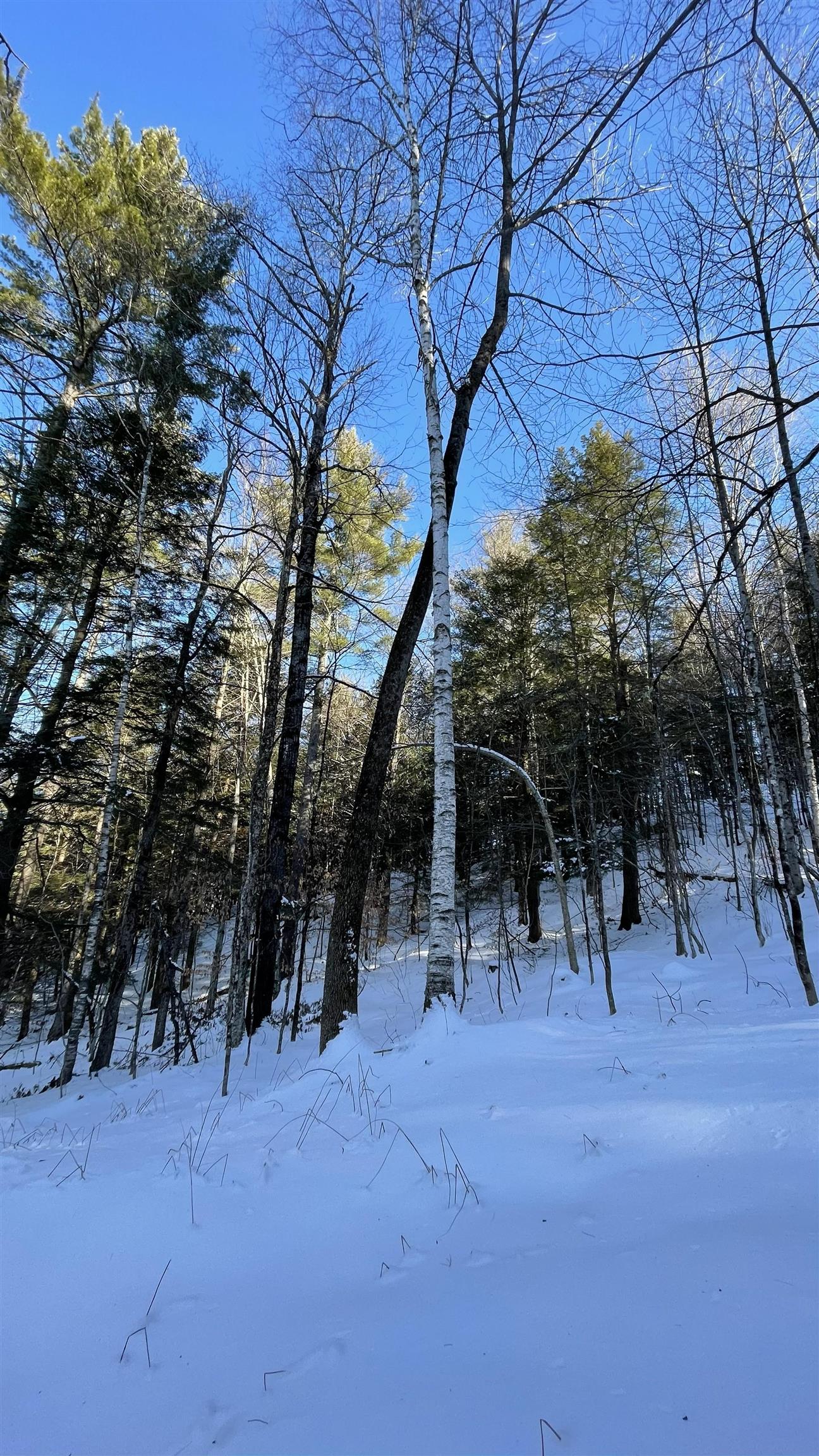 Masterson Road Property Photo 4