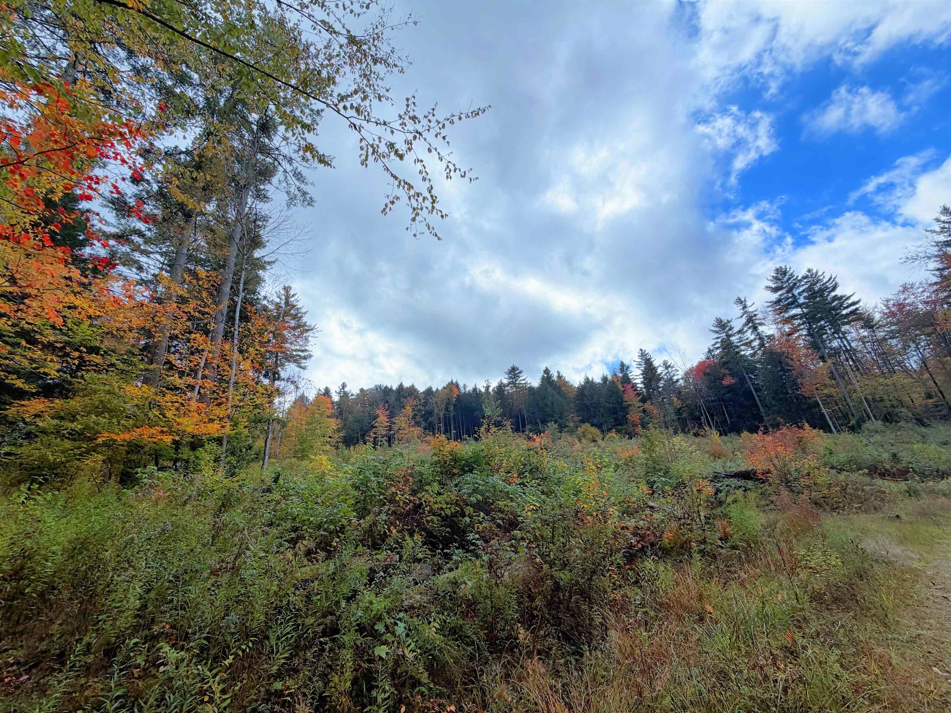 Masterson Road Property Photo 14