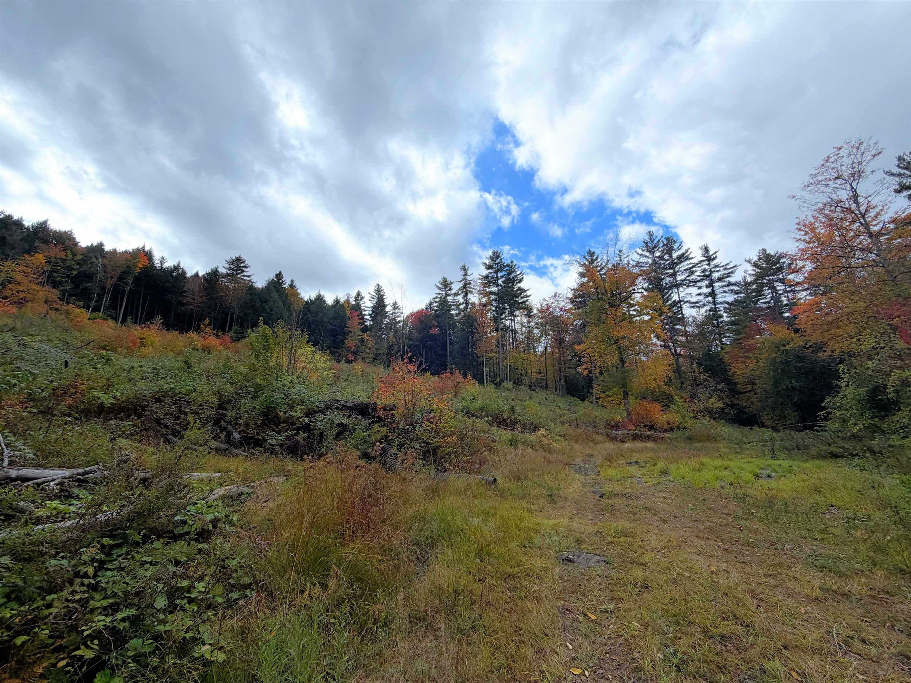 Masterson Road Property Photo 15