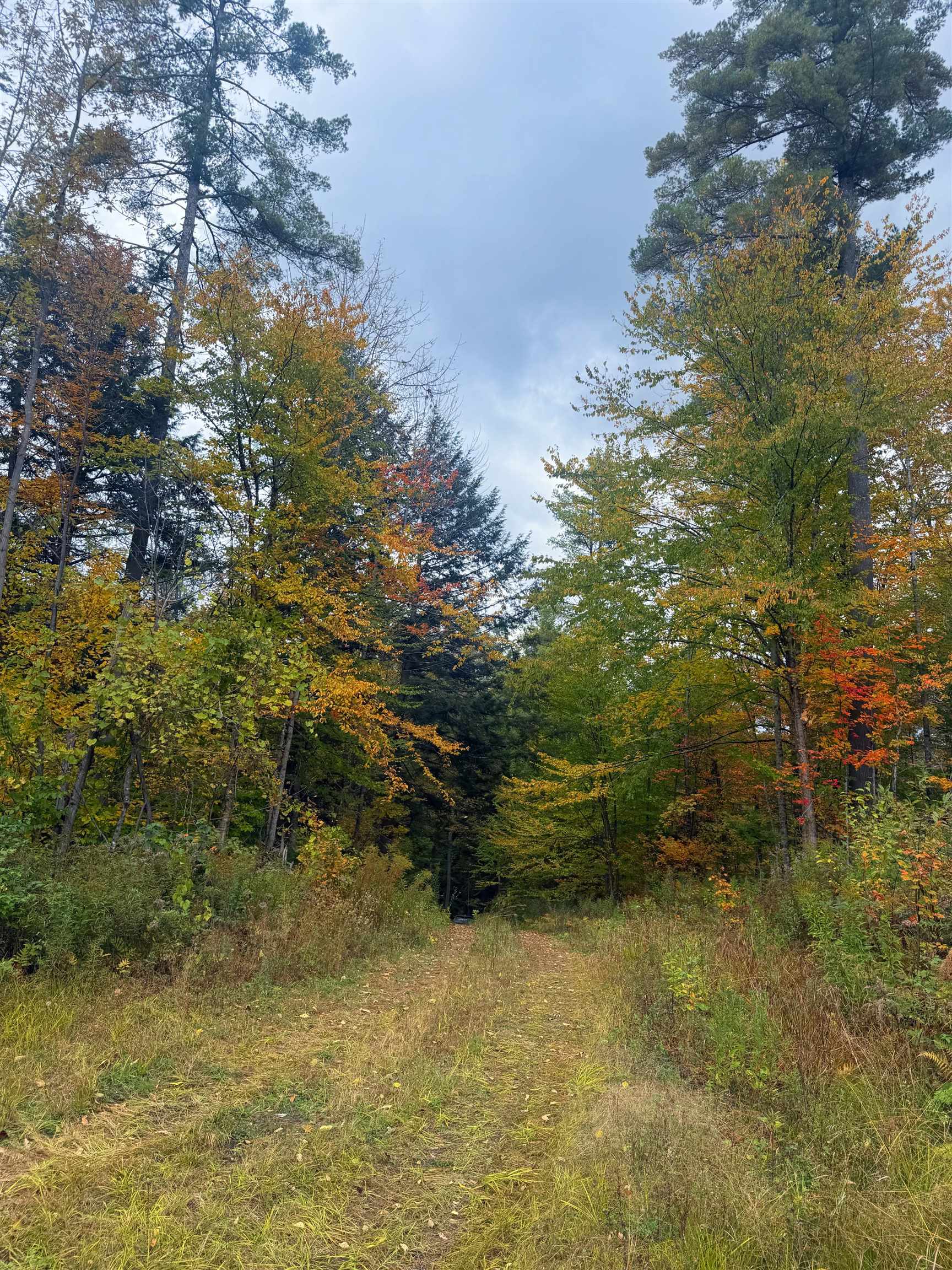 Masterson Road Property Photo 16