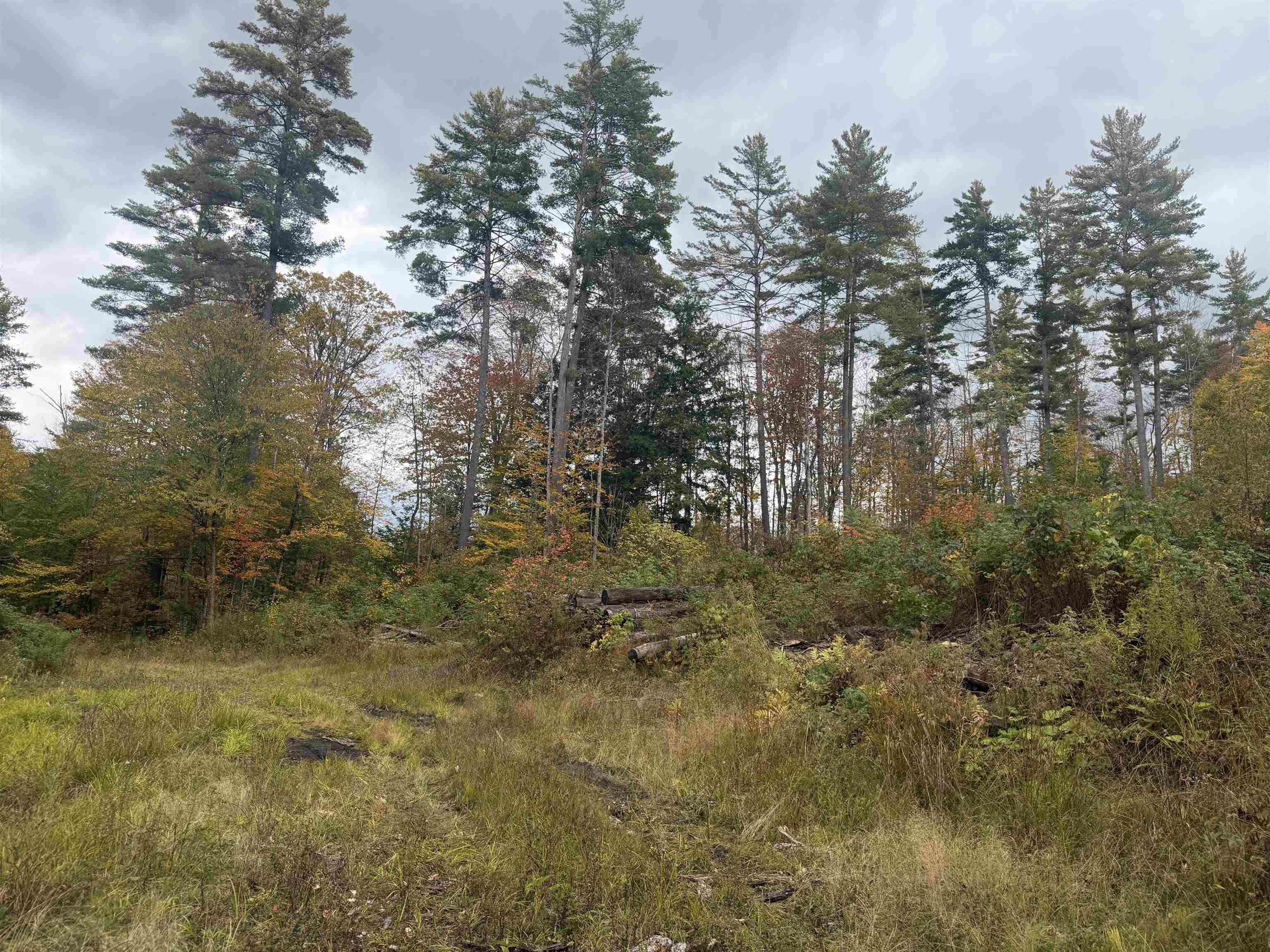 Masterson Road Property Photo 17