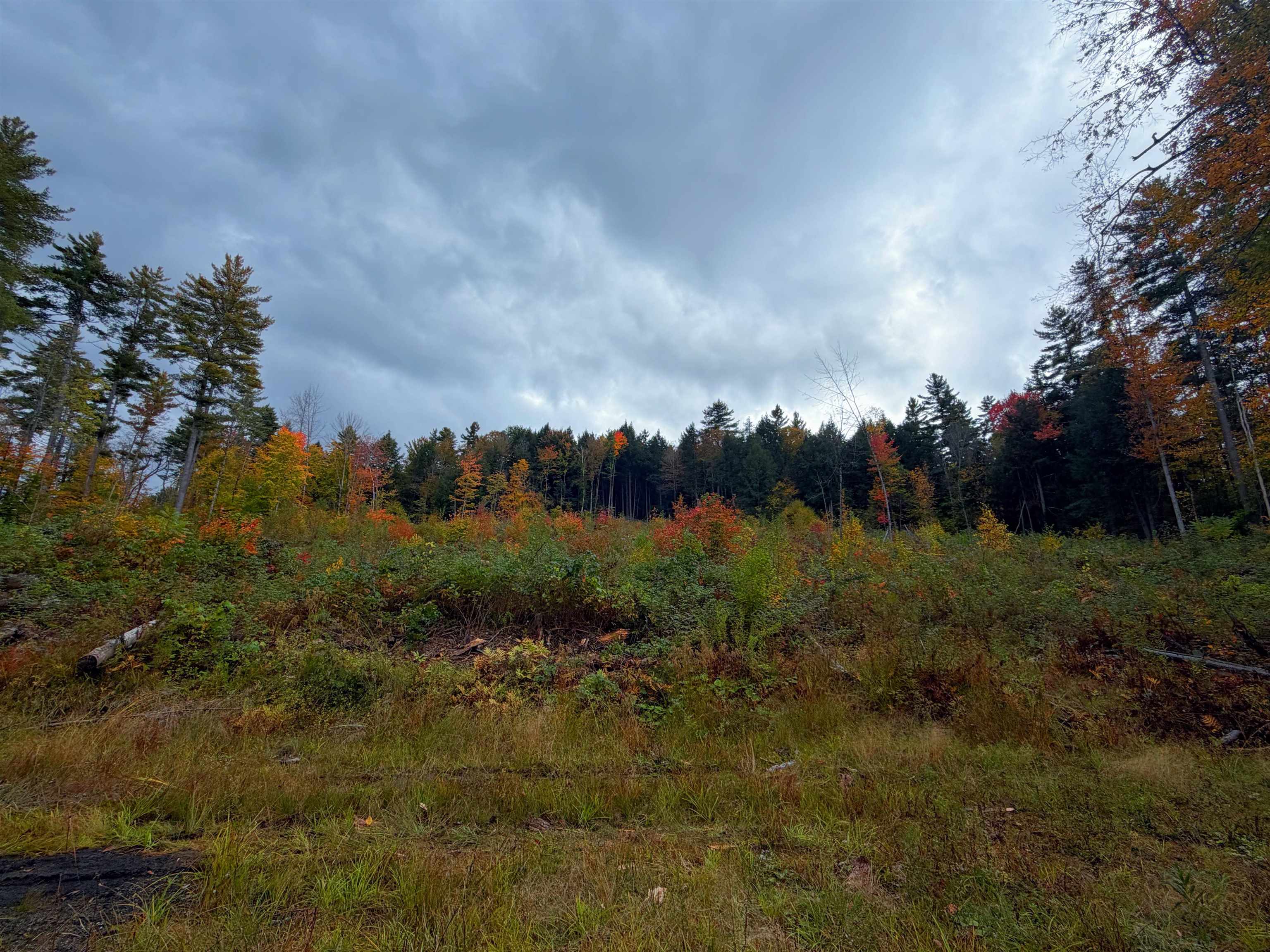 Masterson Road Property Photo 18