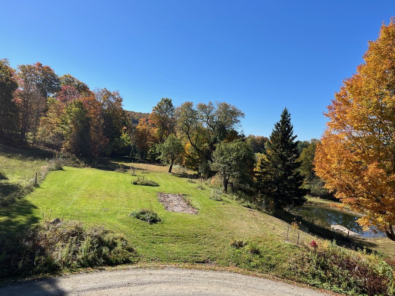 179 Cate Hill Road Property Photo 46