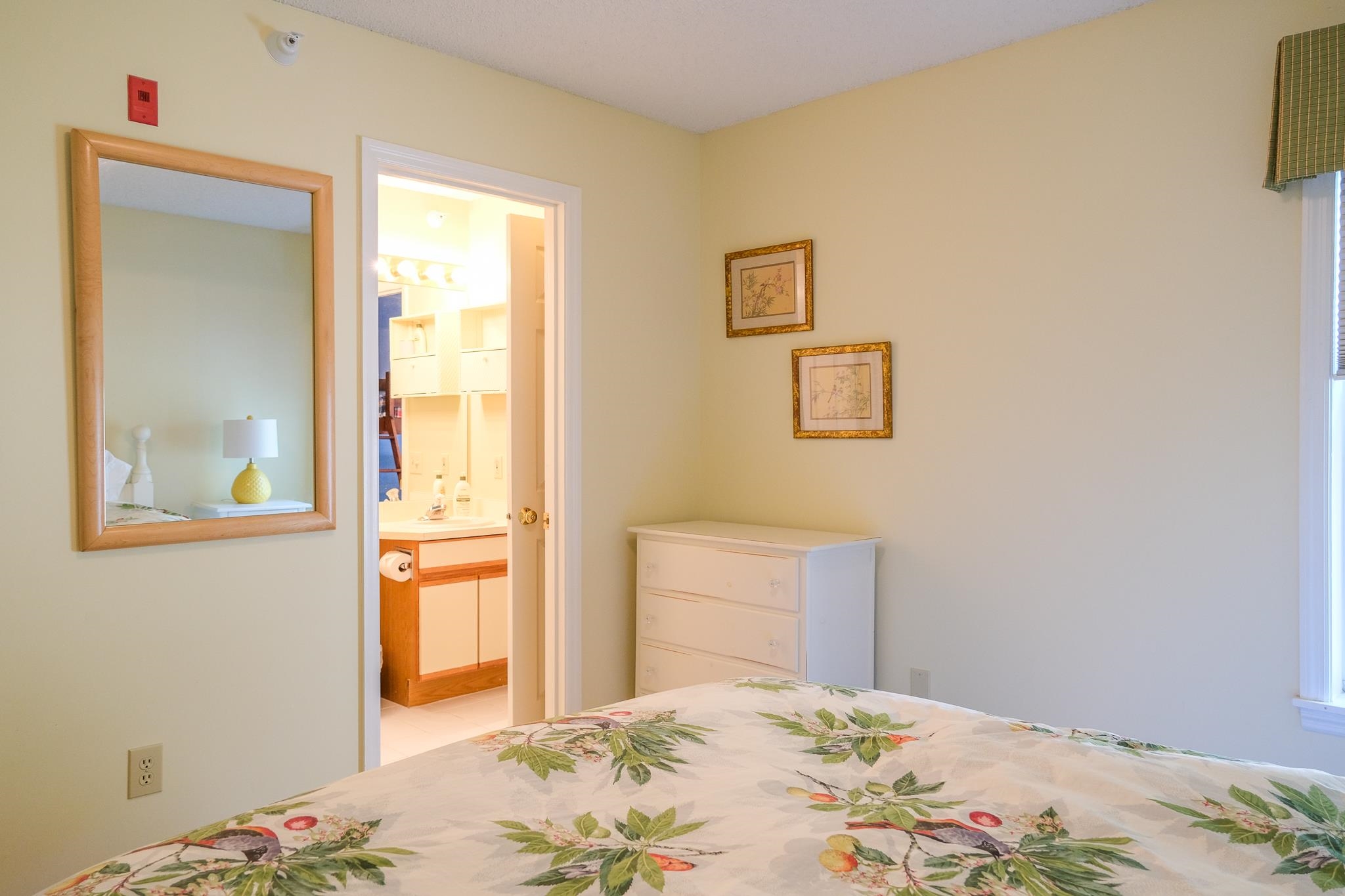 46 Fowler Road Property Photo 18