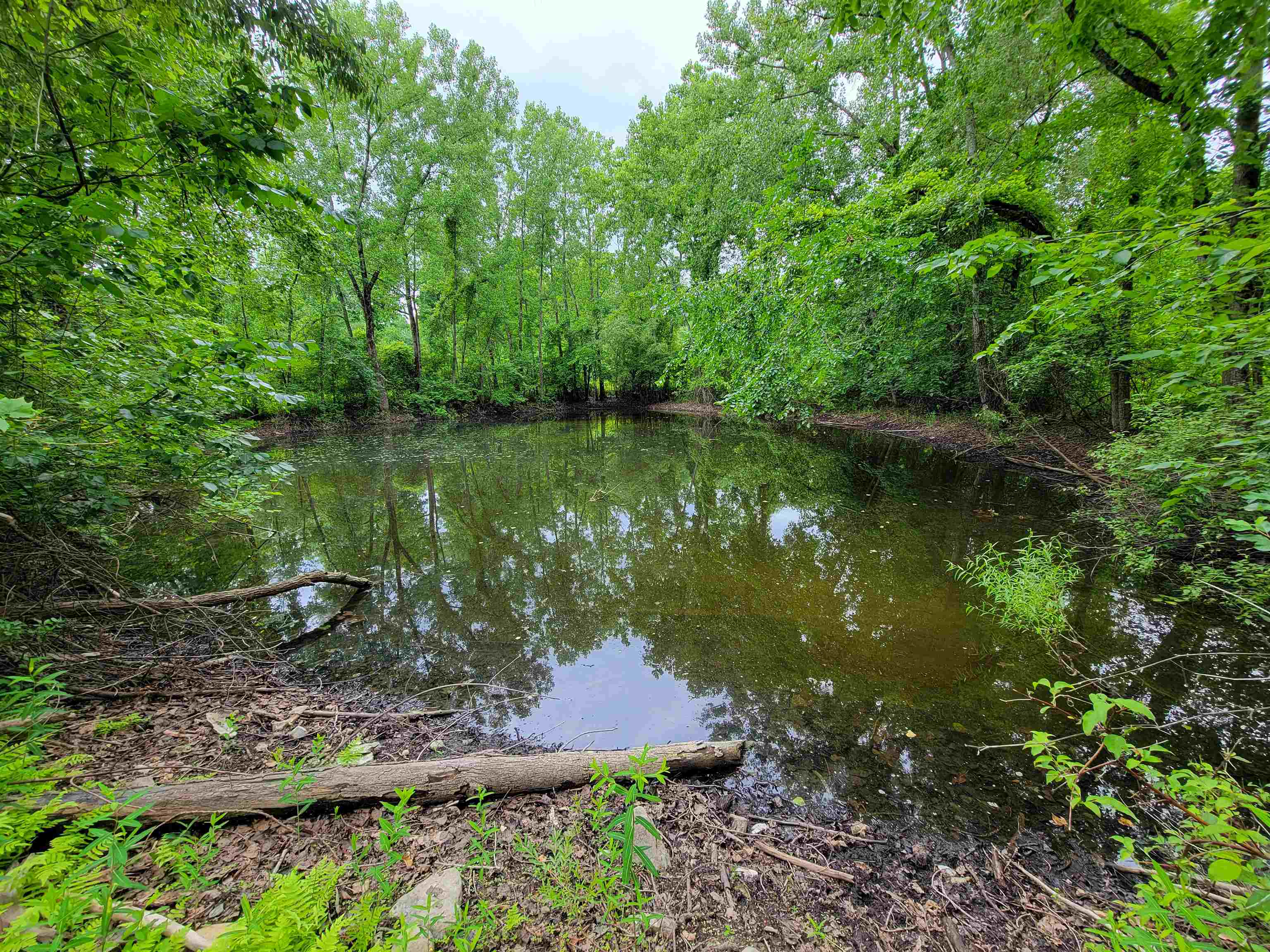 399 Bard Road Property Photo 2