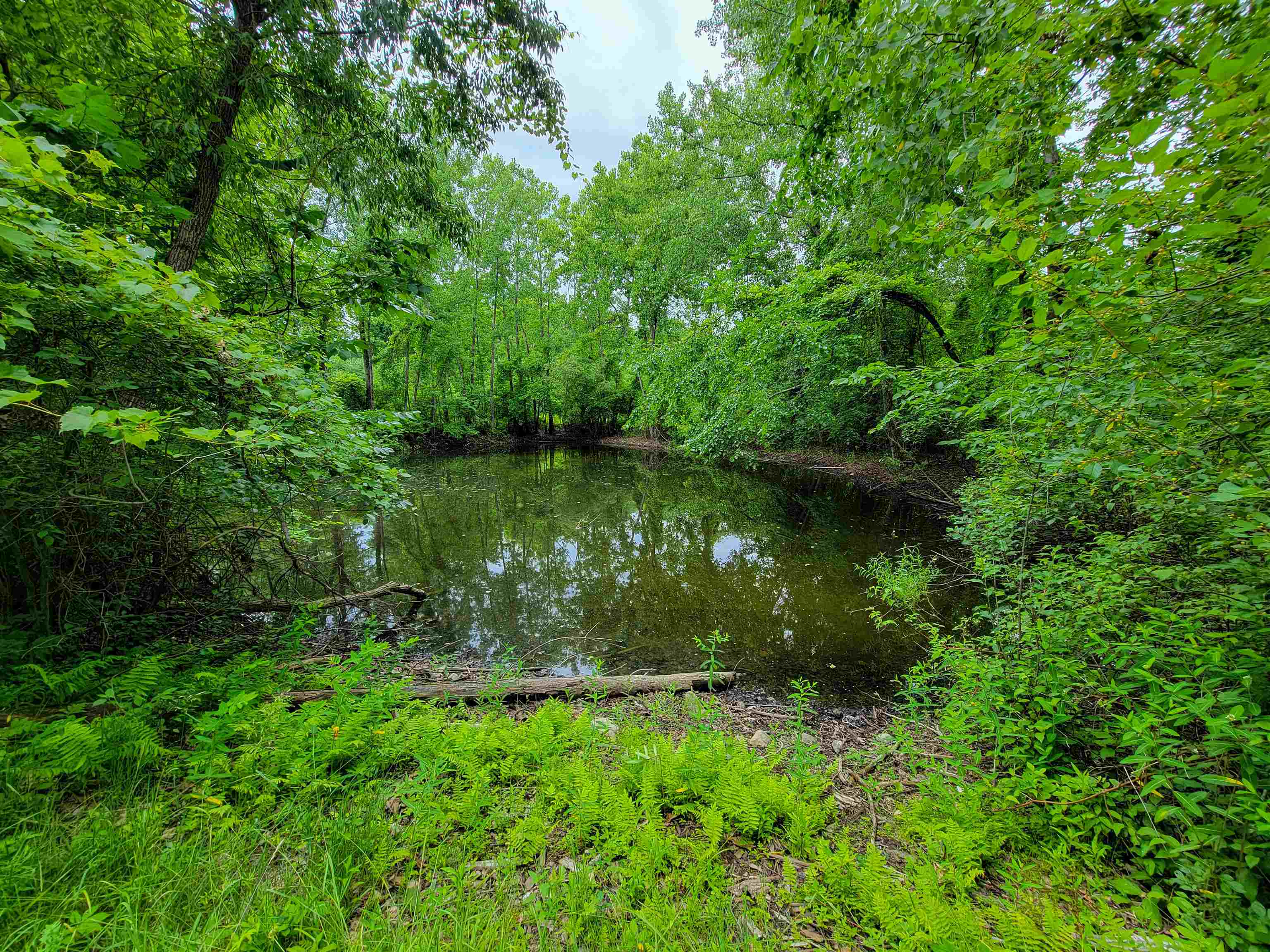 399 Bard Road Property Photo 12
