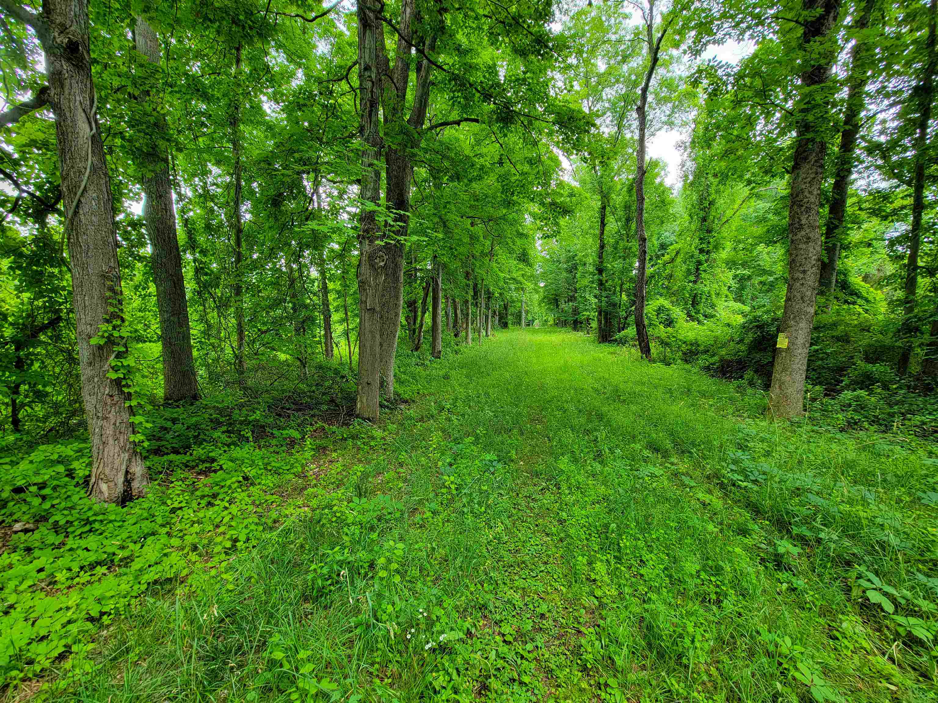 399 Bard Road Property Photo 13