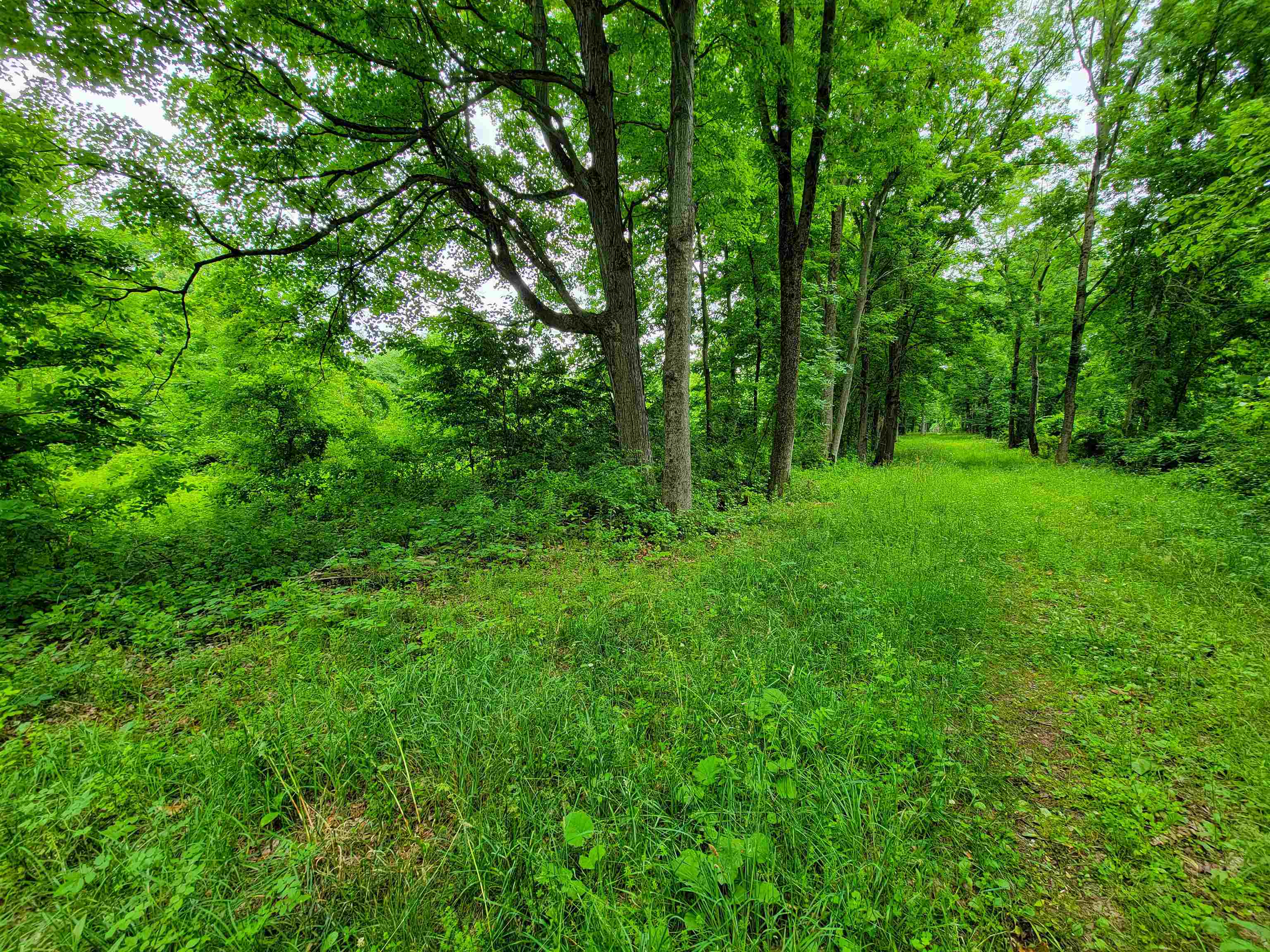399 Bard Road Property Photo 14