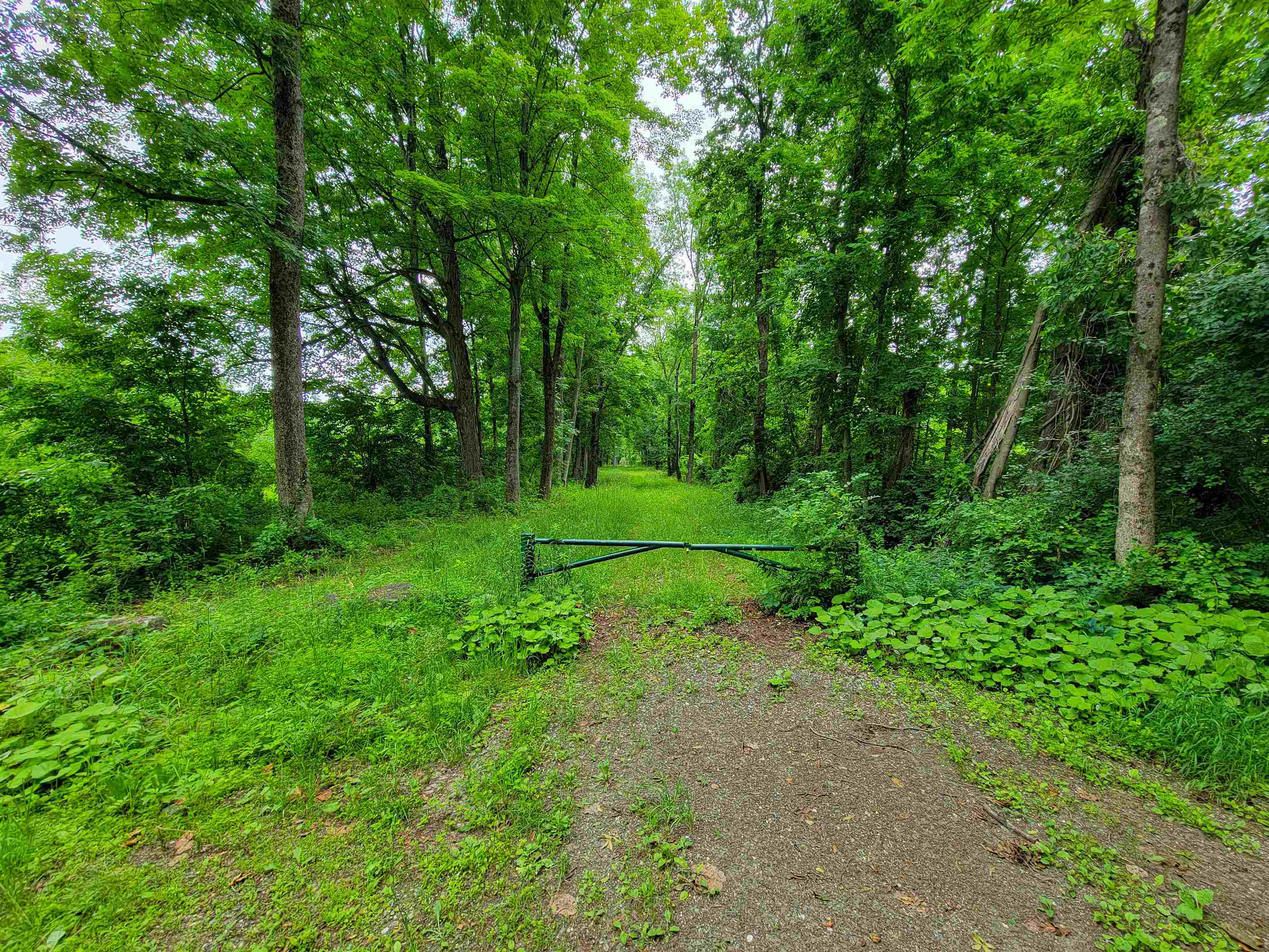 399 Bard Road Property Photo 15