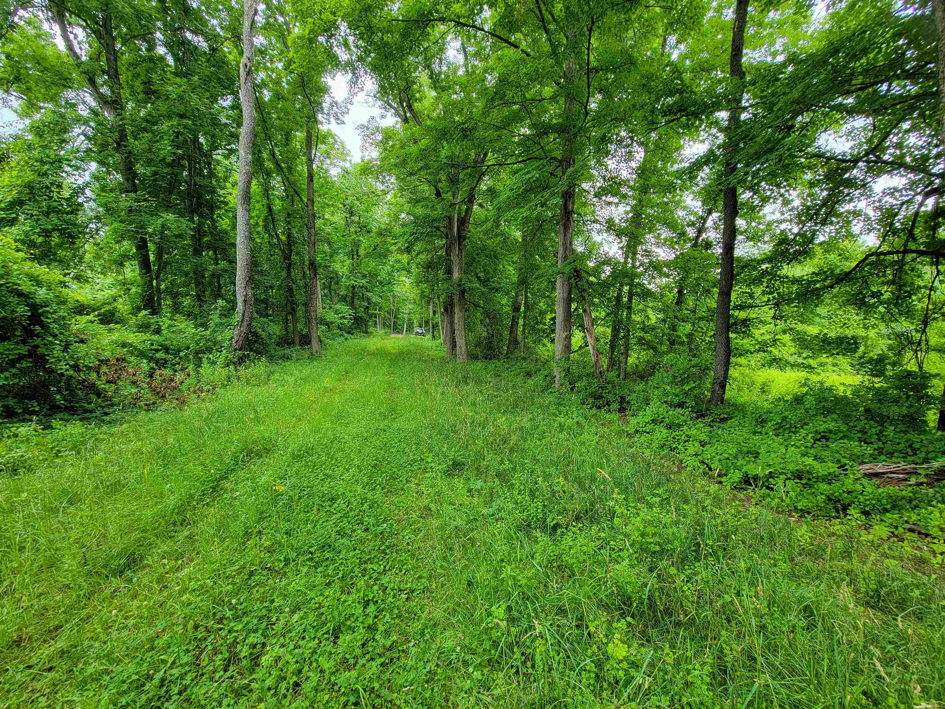 399 Bard Road Property Photo 17