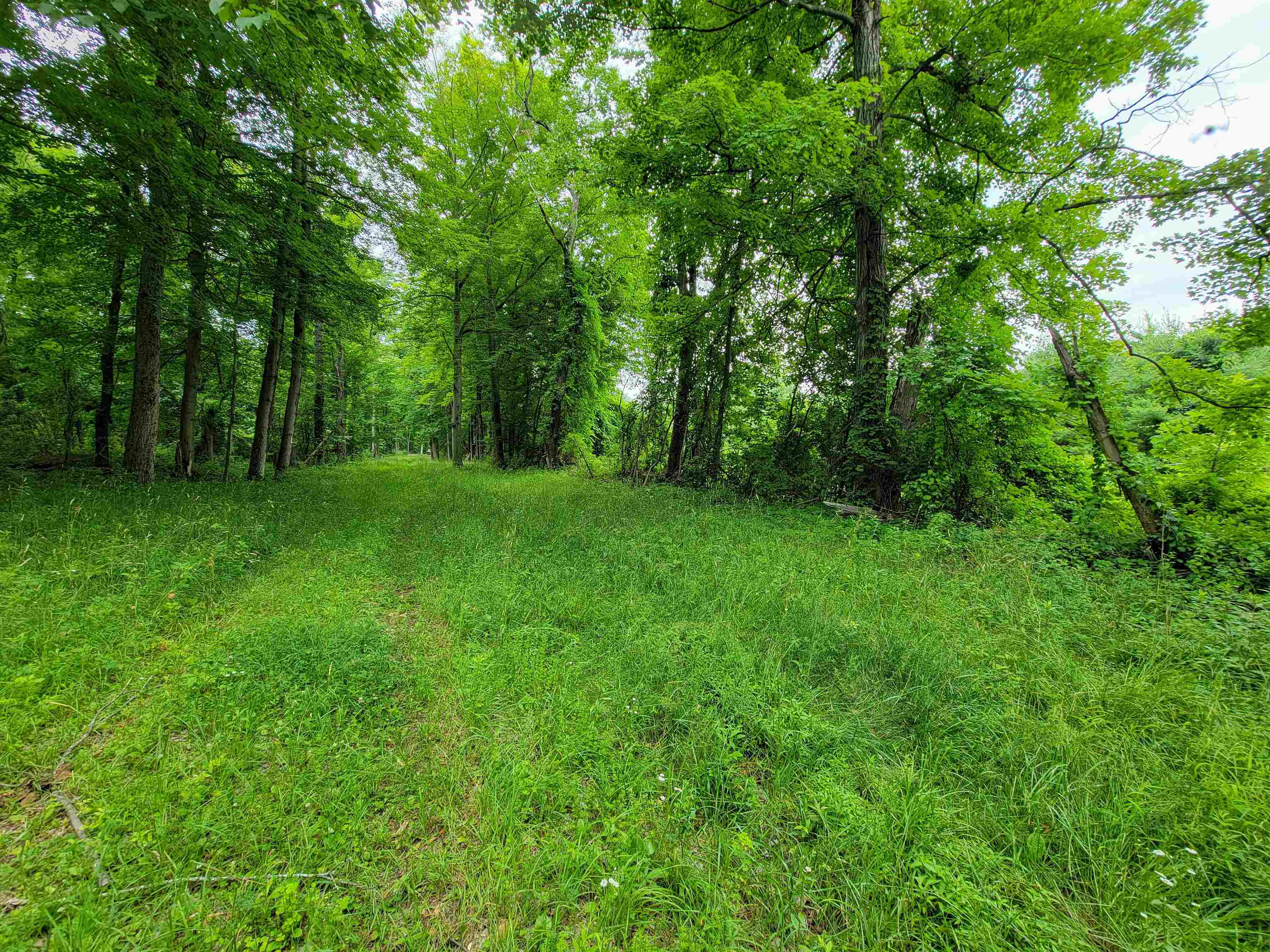 399 Bard Road Property Photo 18
