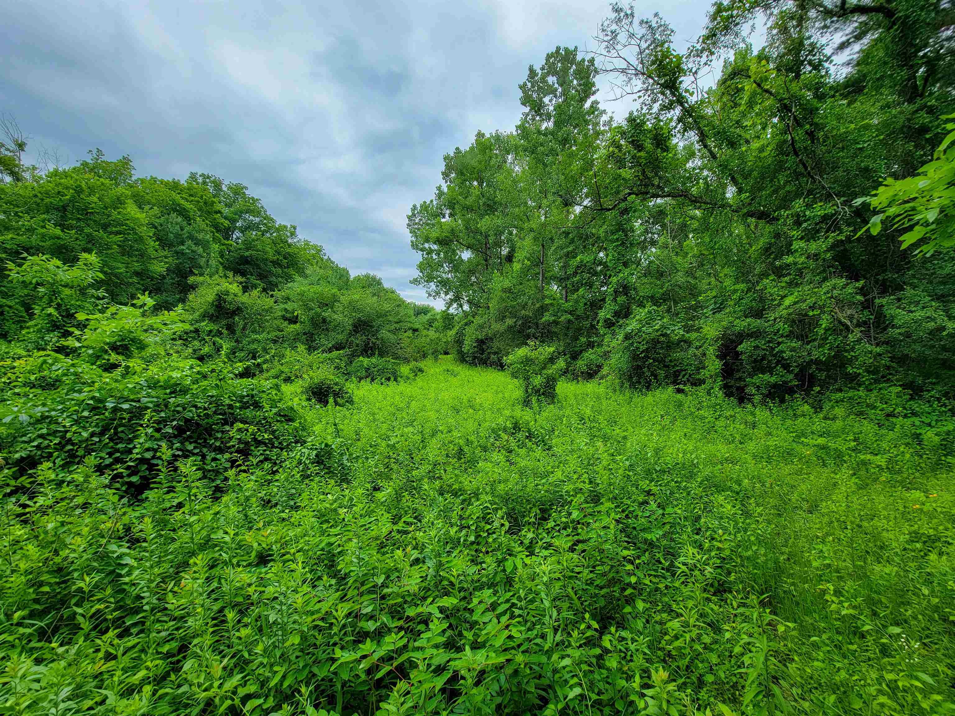 399 Bard Road Property Photo 20