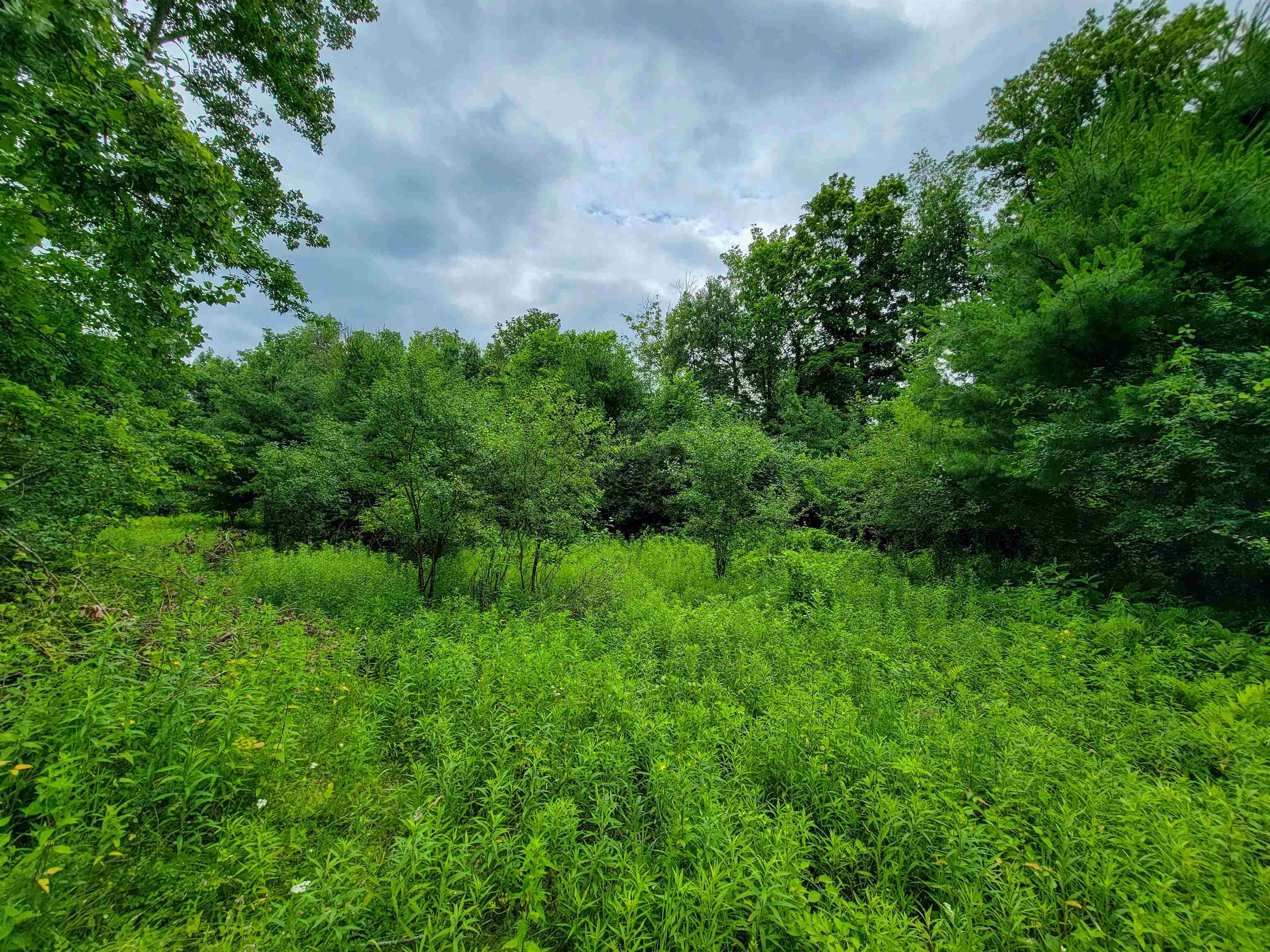 399 Bard Road Property Photo 21