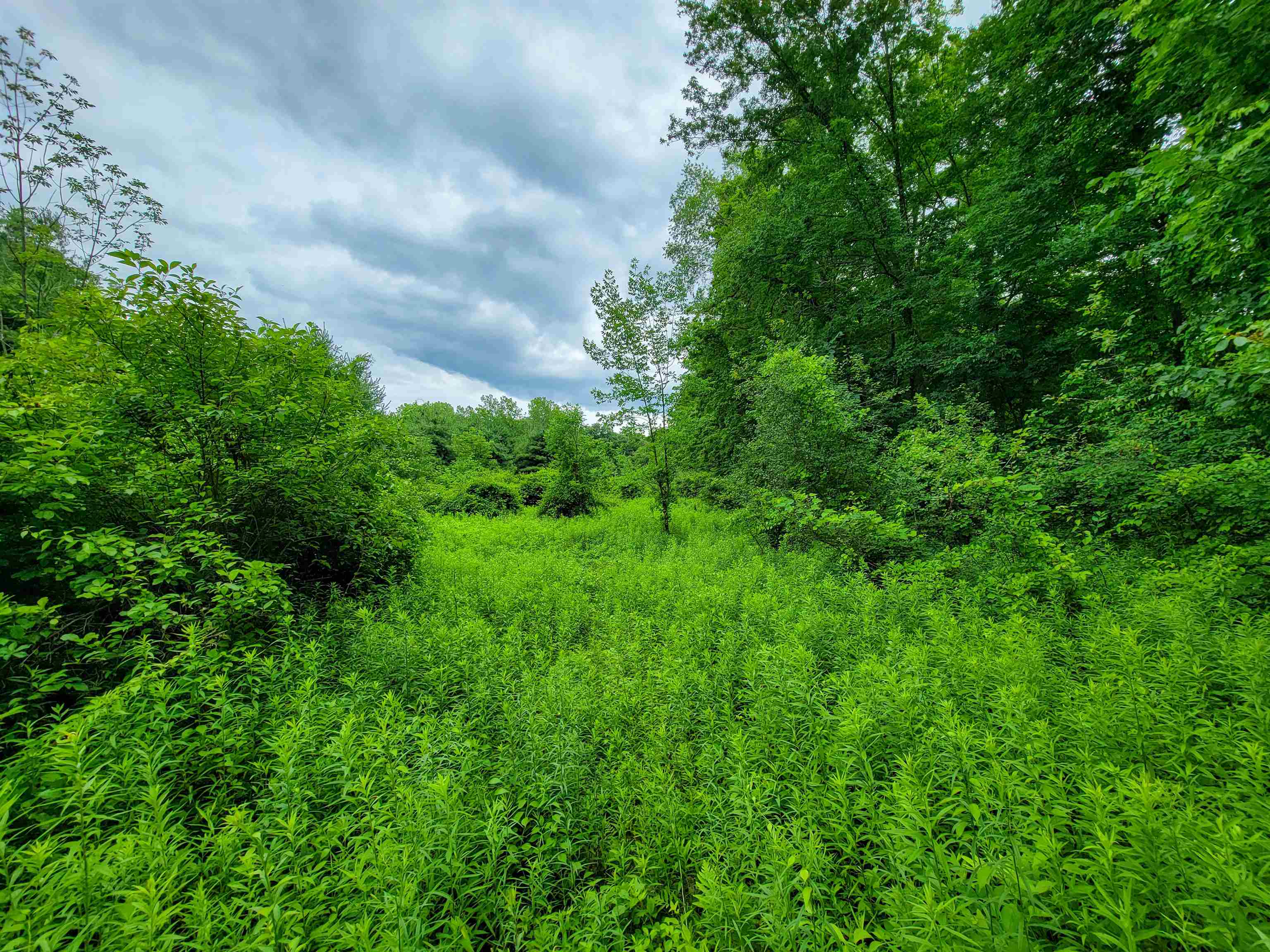 399 Bard Road Property Photo 23