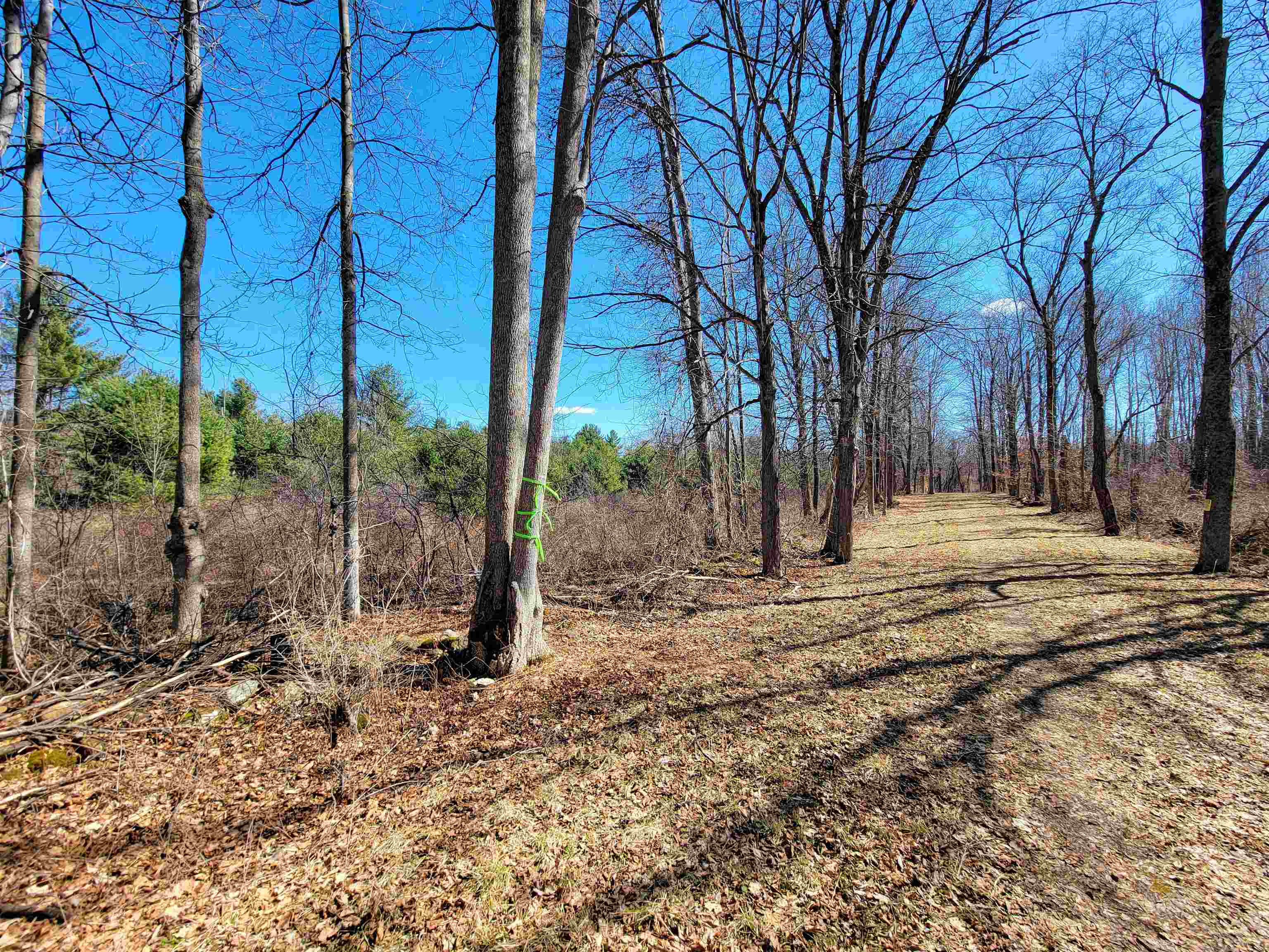 399 Bard Road Property Photo 26