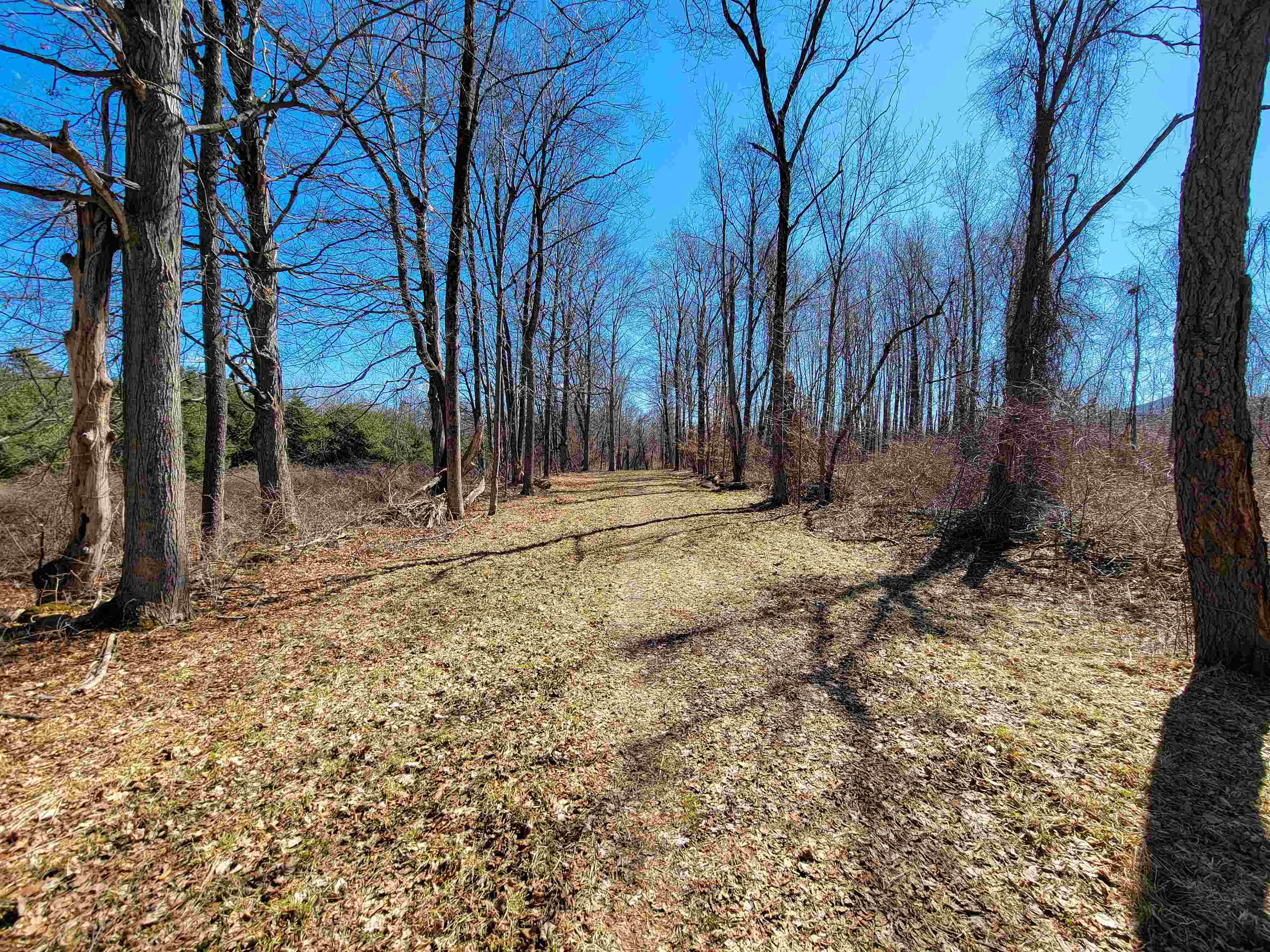 399 Bard Road Property Photo 28