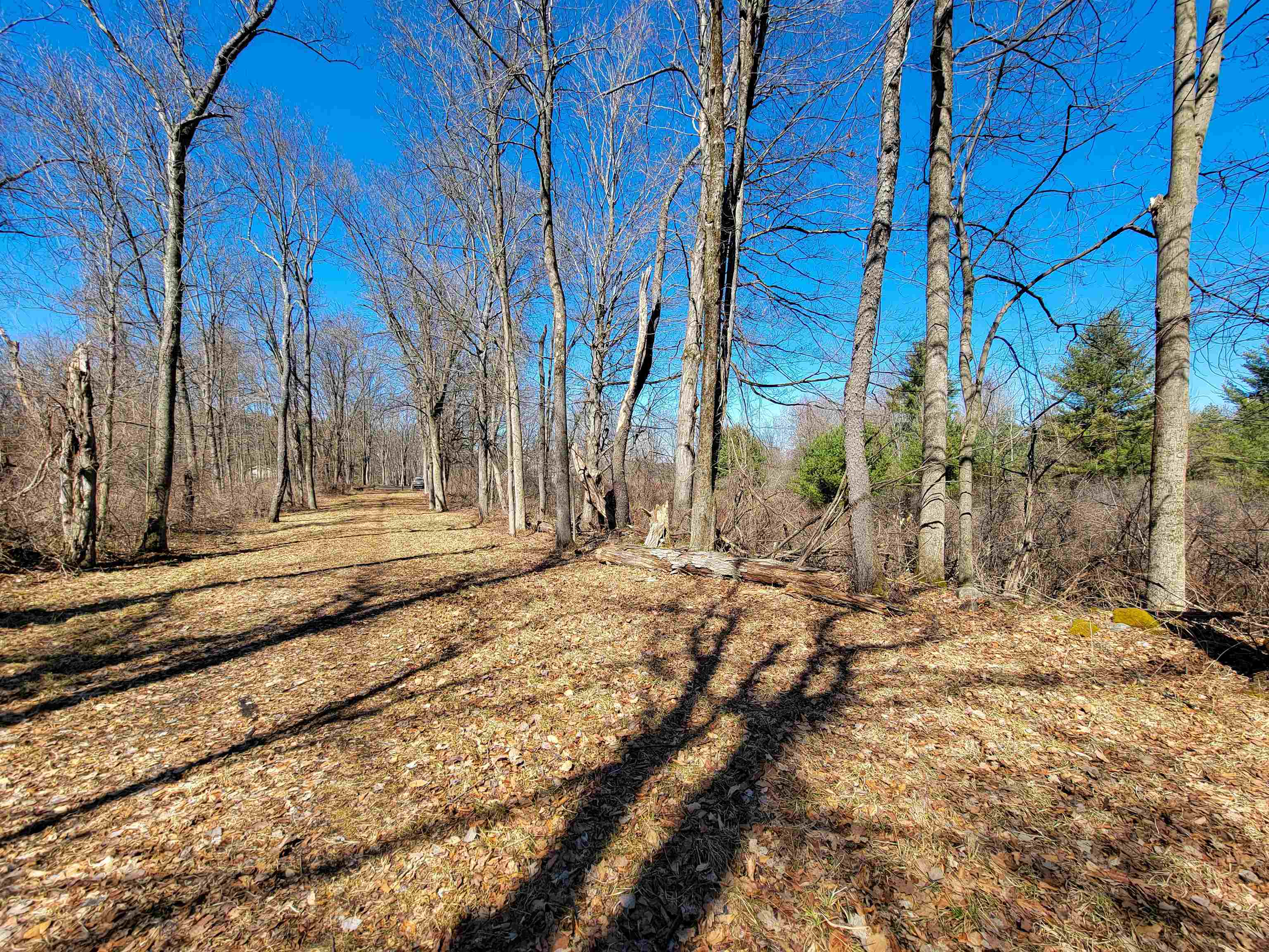 399 Bard Road Property Photo 29