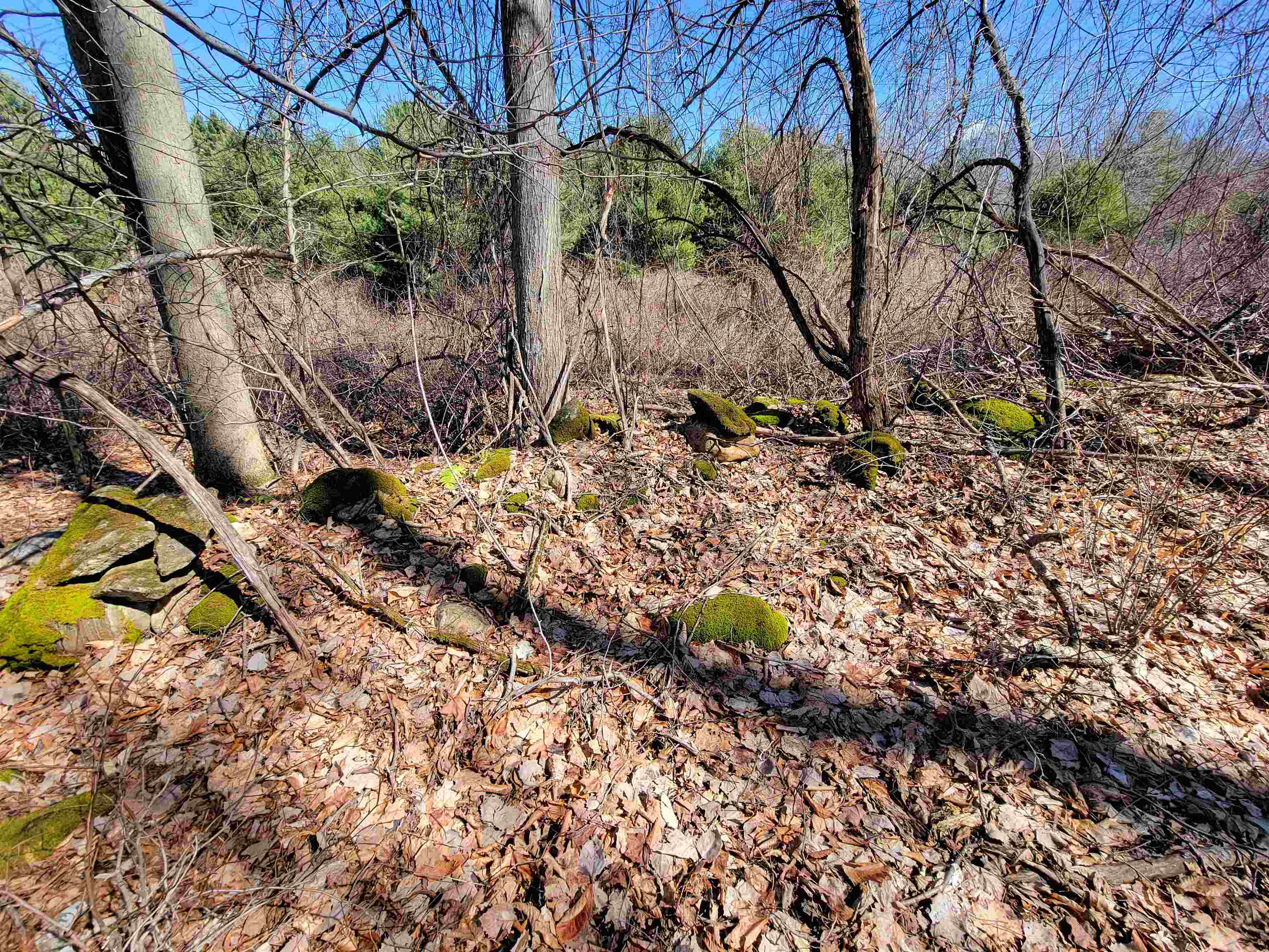 399 Bard Road Property Photo 30