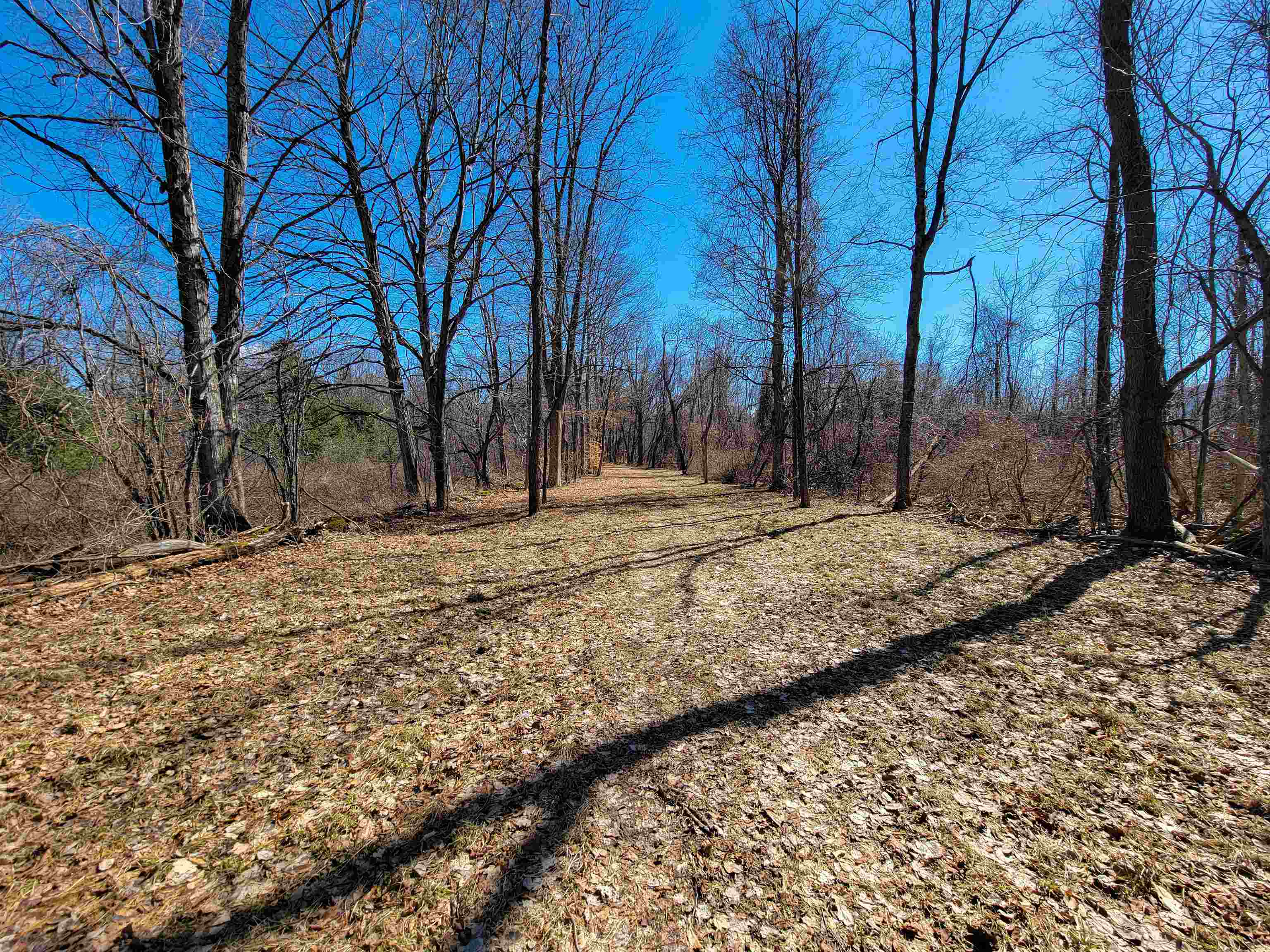 399 Bard Road Property Photo 31