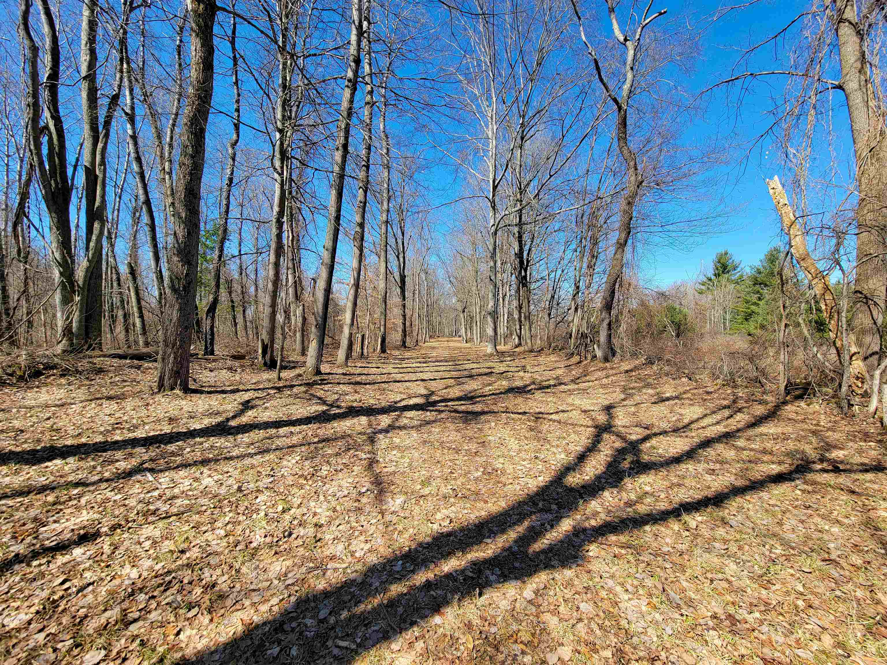 399 Bard Road Property Photo 32