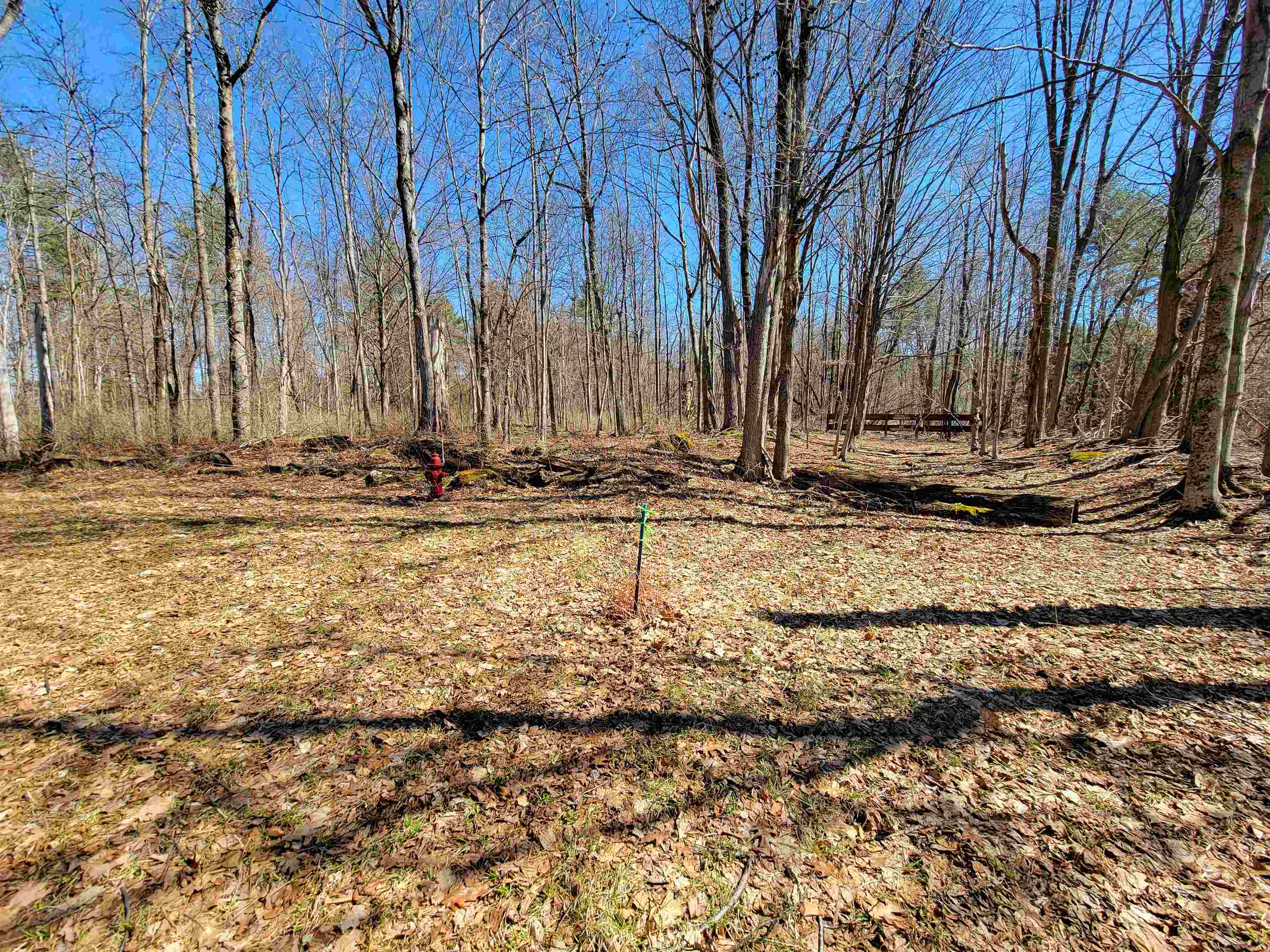 399 Bard Road Property Photo 33