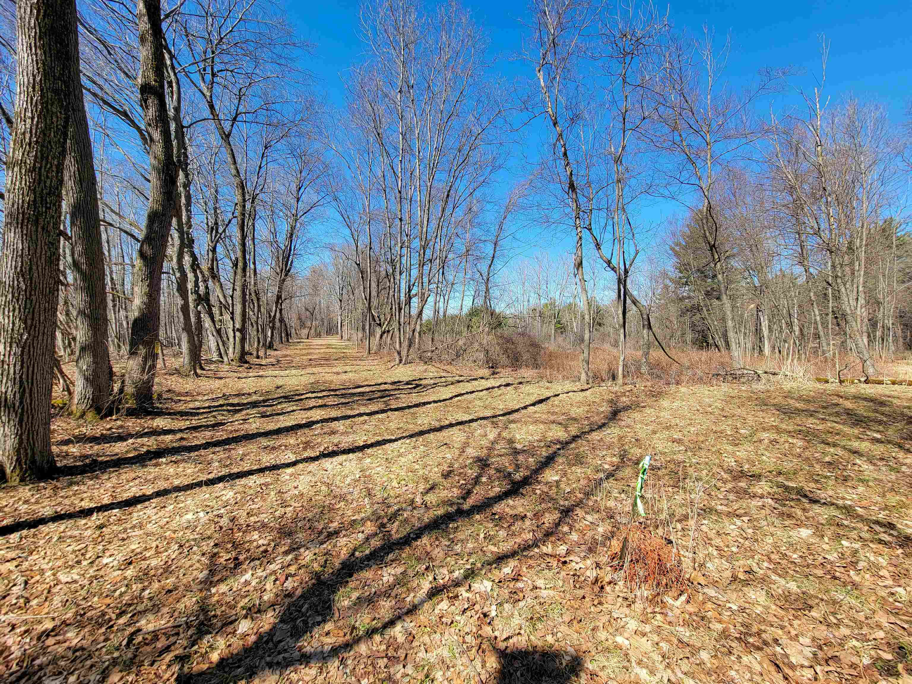 399 Bard Road Property Photo 37