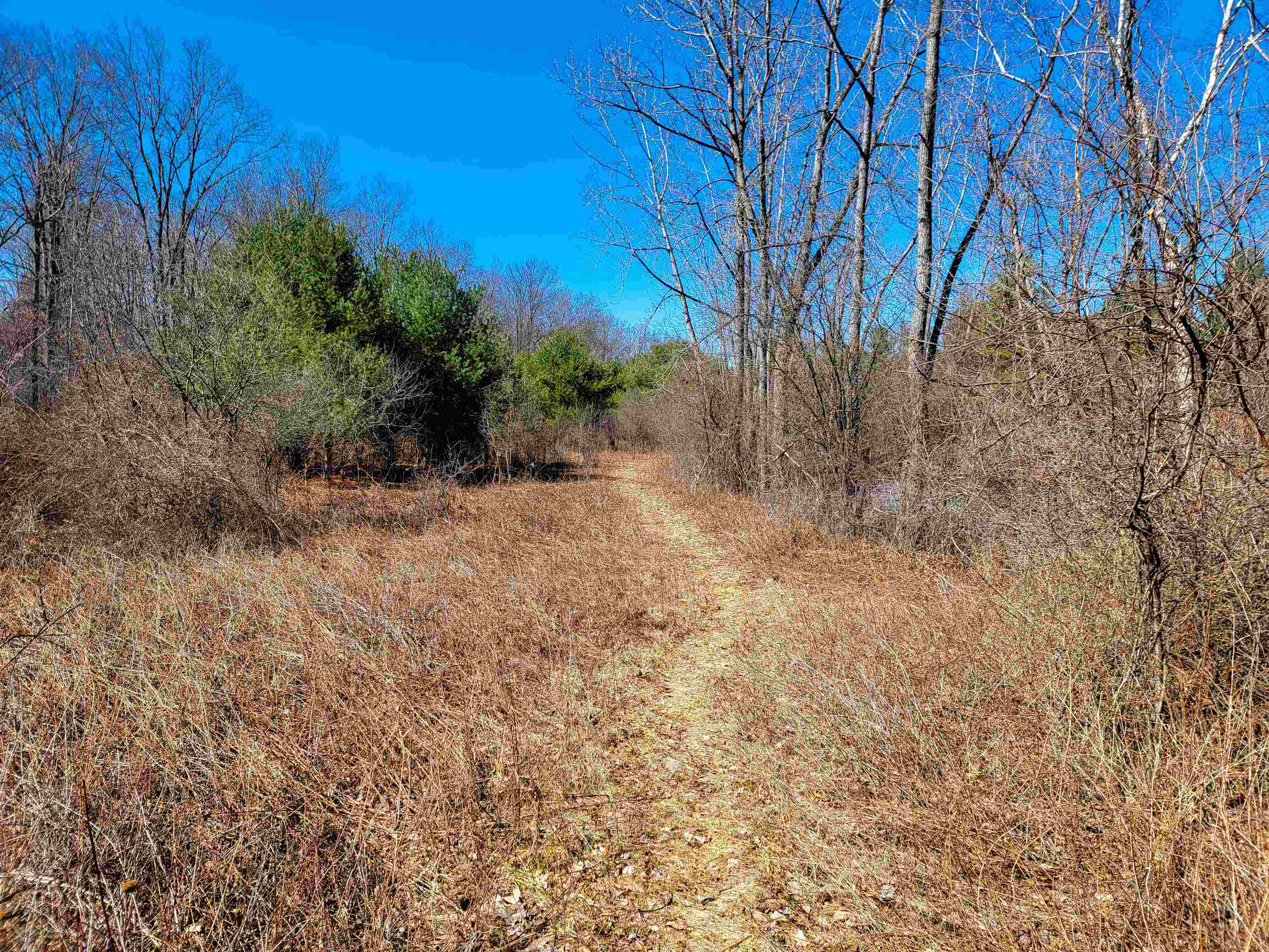 399 Bard Road Property Photo 38