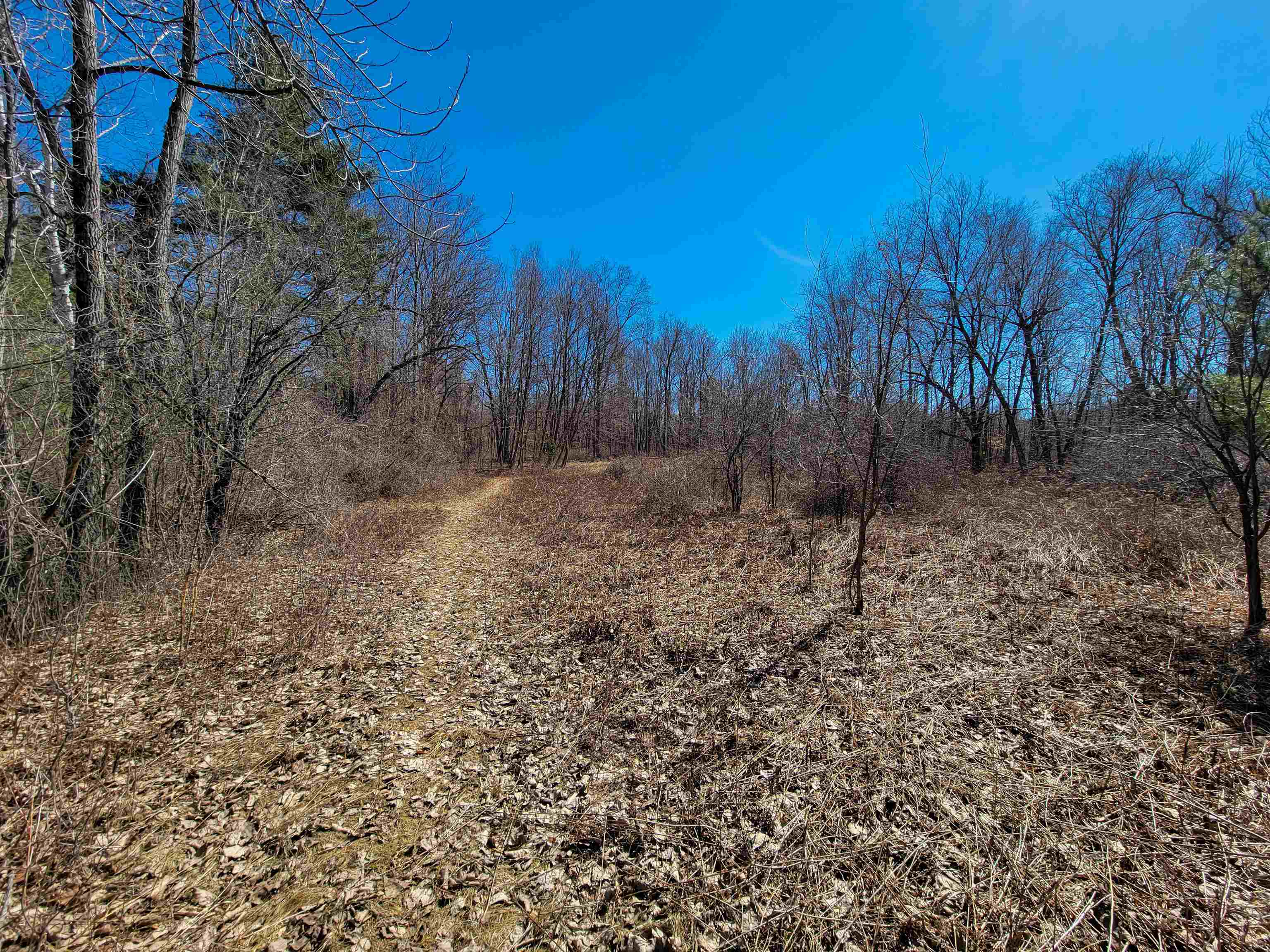399 Bard Road Property Photo 39
