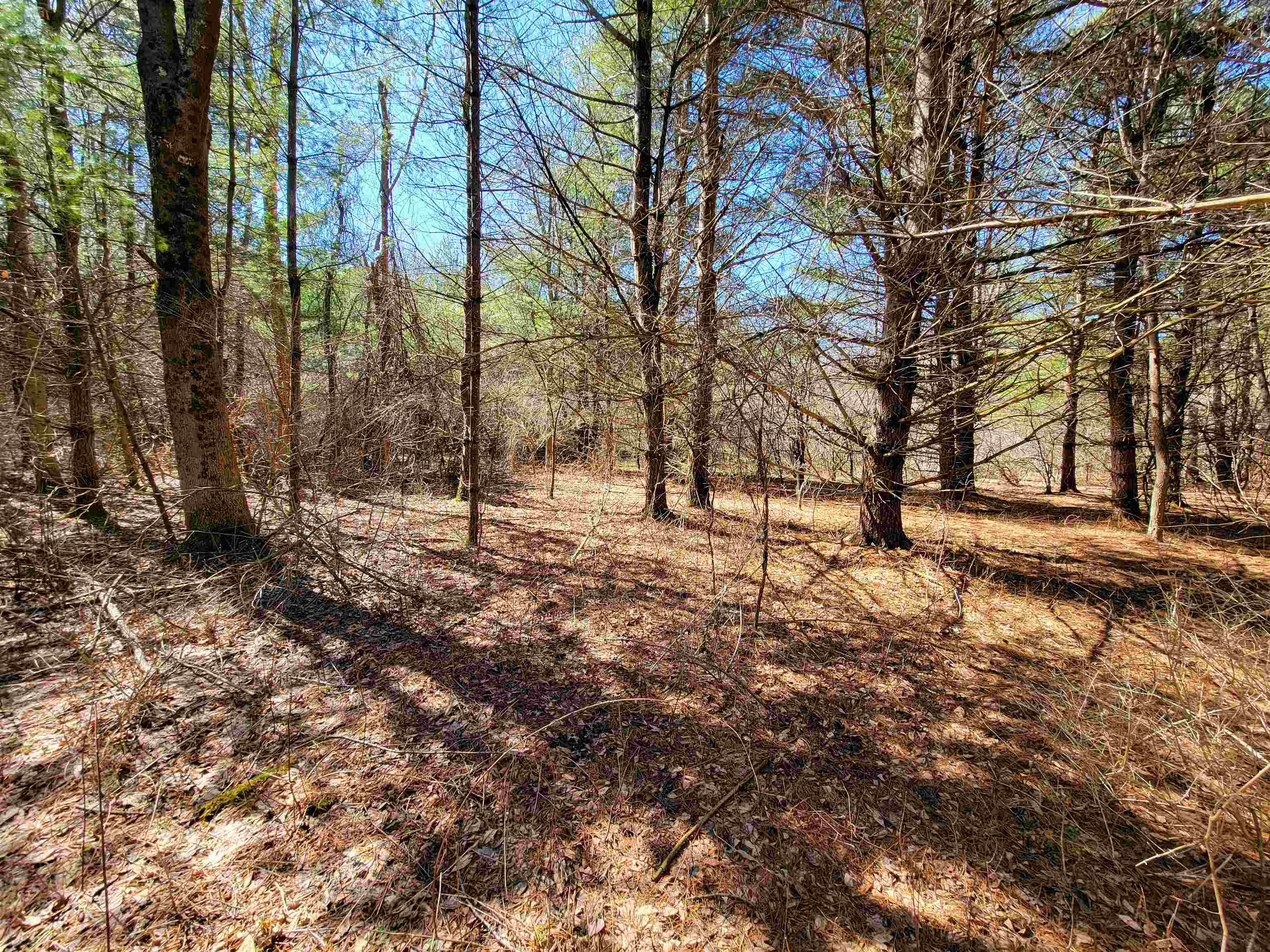 399 Bard Road Property Photo 41