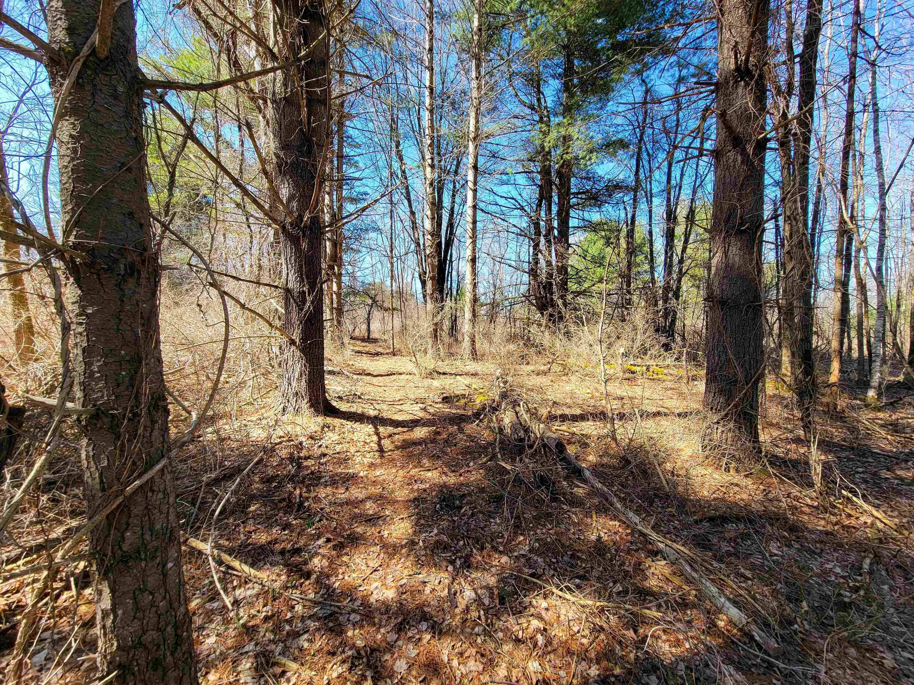 399 Bard Road Property Photo 42