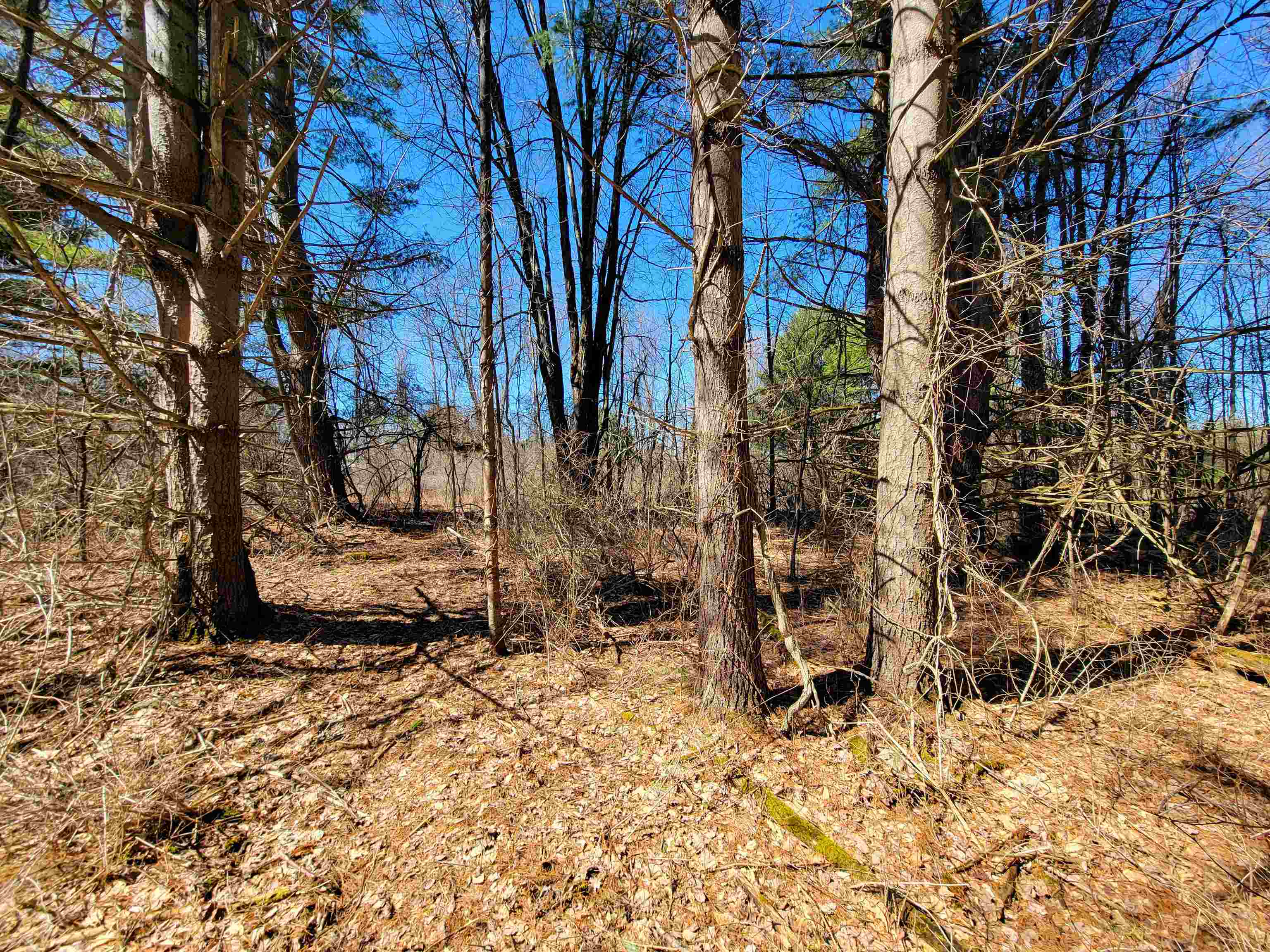 399 Bard Road Property Photo 43