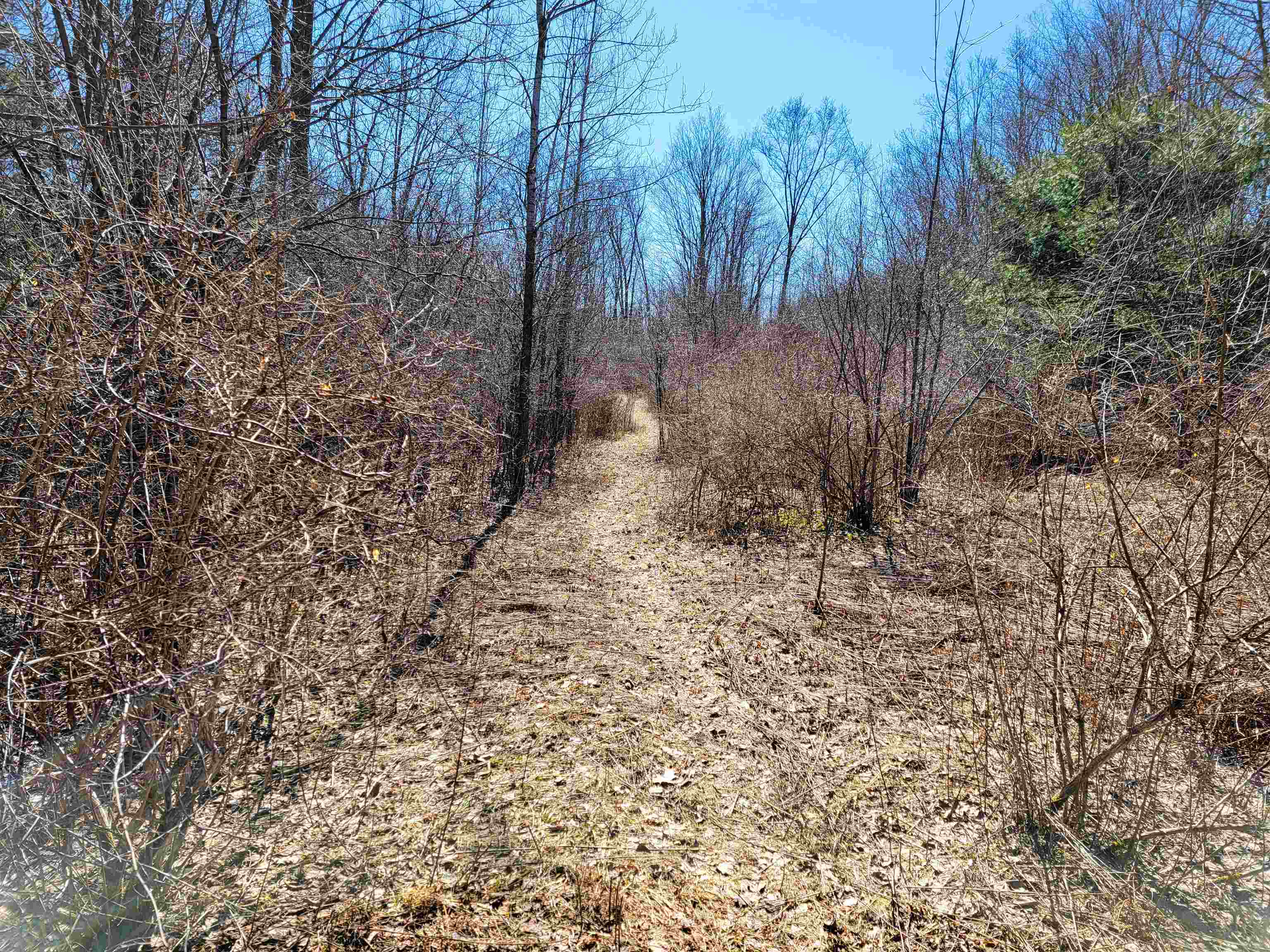 399 Bard Road Property Photo 44