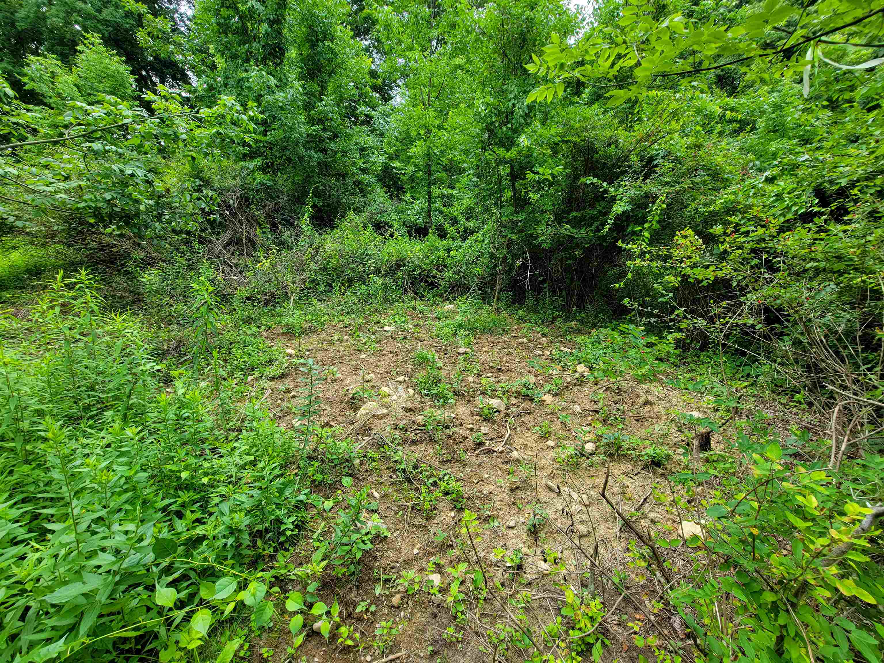 399 Bard Road Property Photo 48
