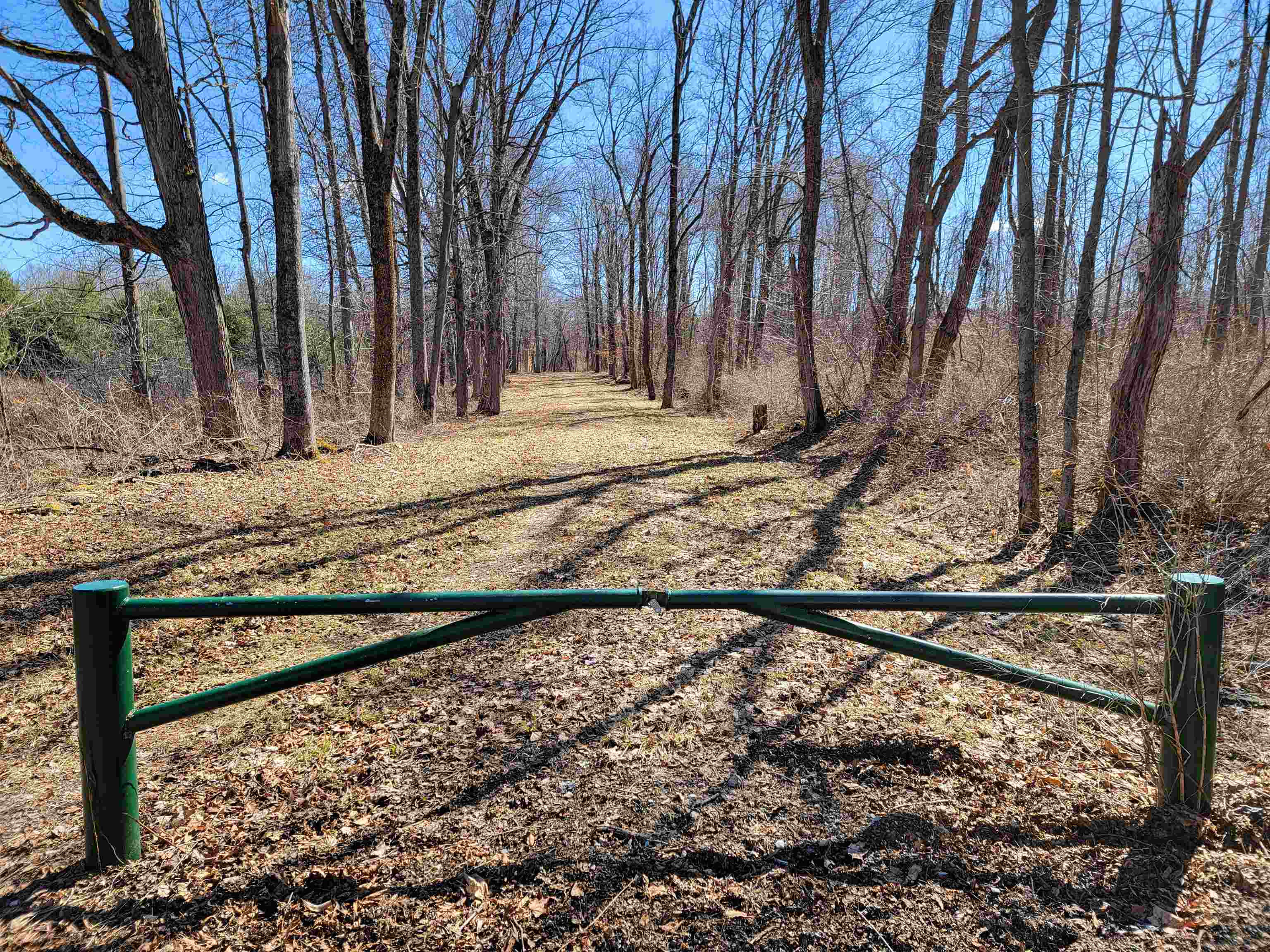 399 Bard Road Property Photo 49