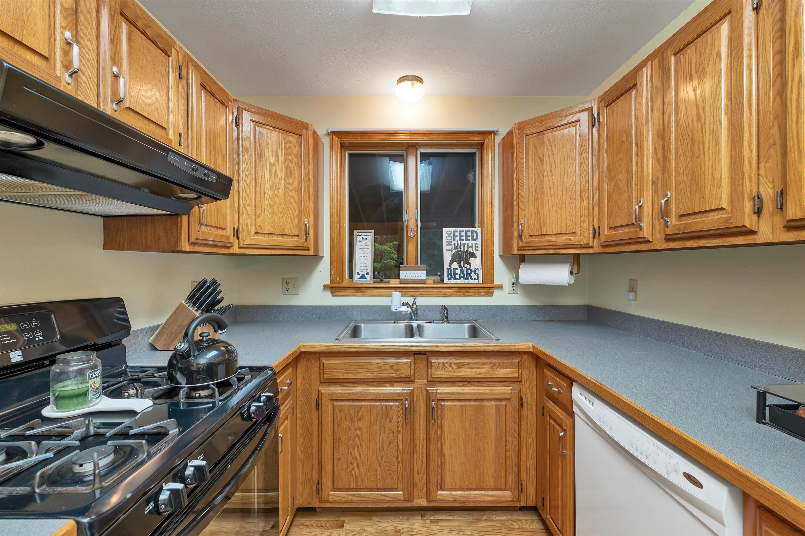 62 Spitzen Street Property Photo 46