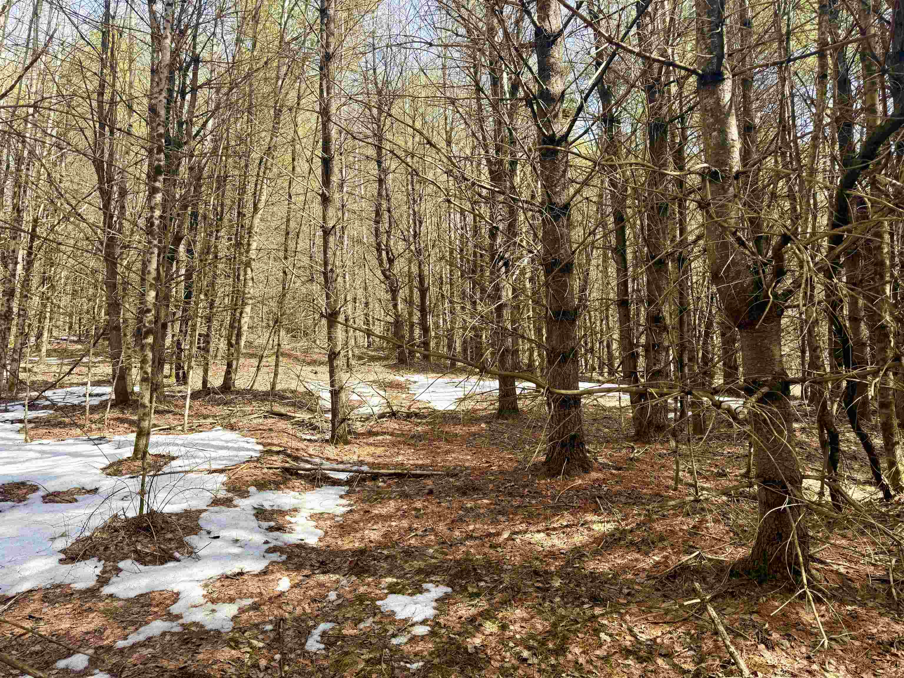 0 Green Mountain Turnpike Property Photo 4