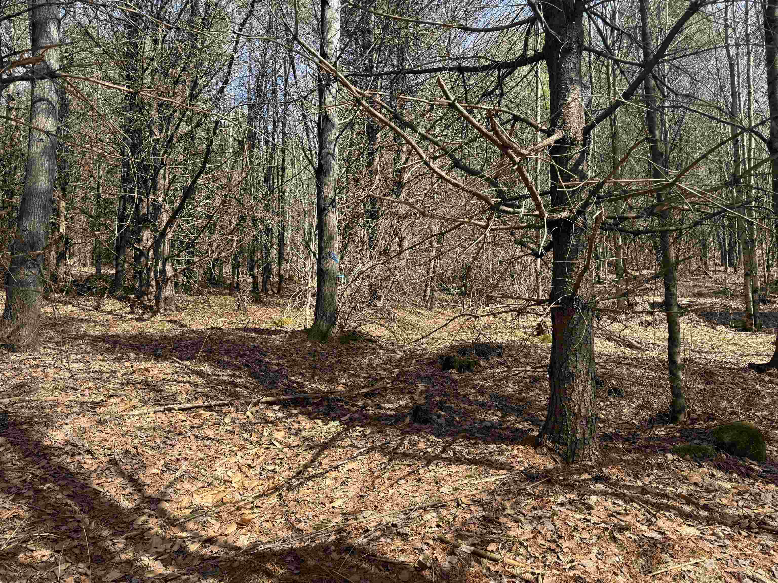 0 Green Mountain Turnpike Property Photo 5