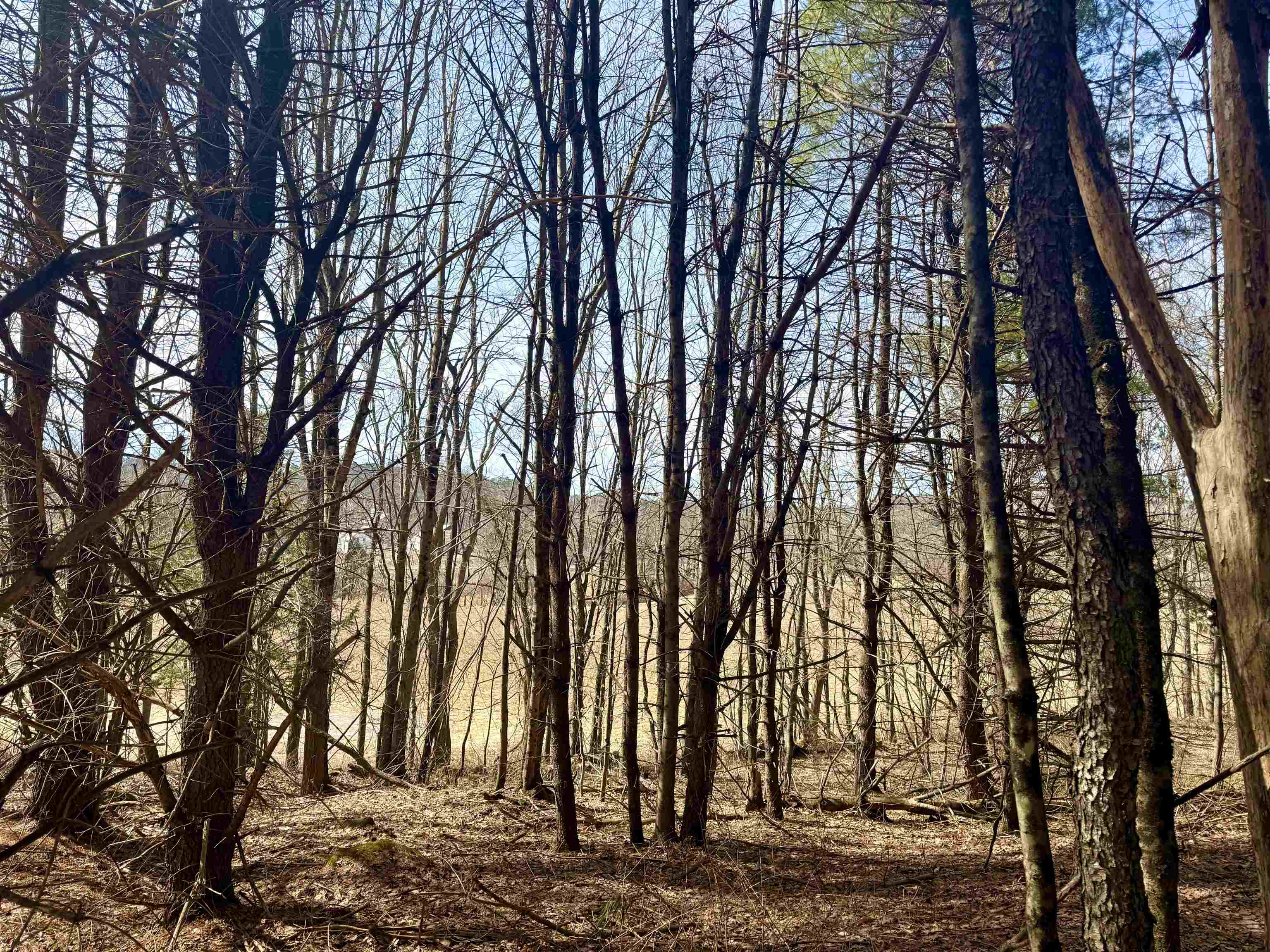 0 Green Mountain Turnpike Property Photo 6
