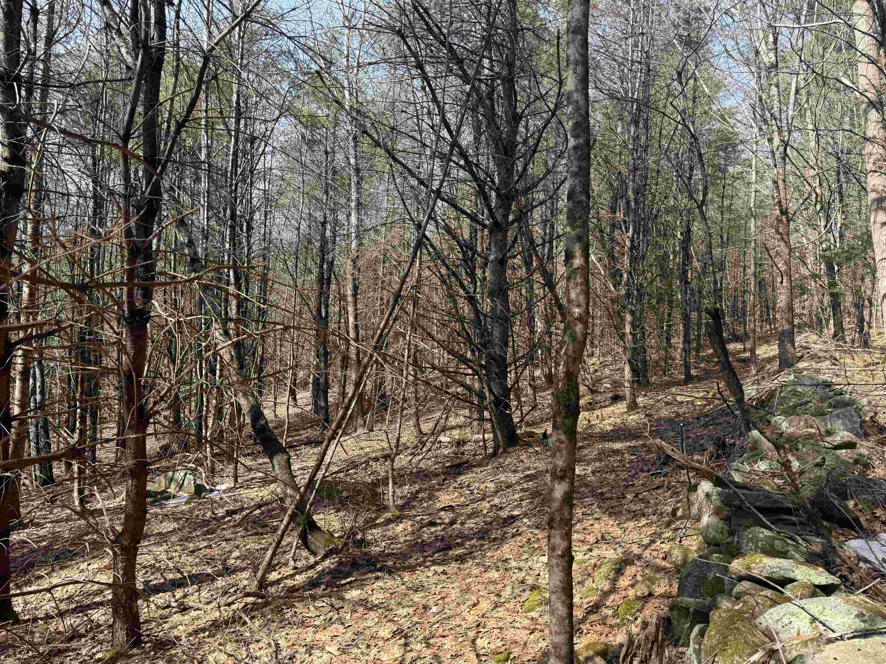 0 Green Mountain Turnpike Property Photo 7