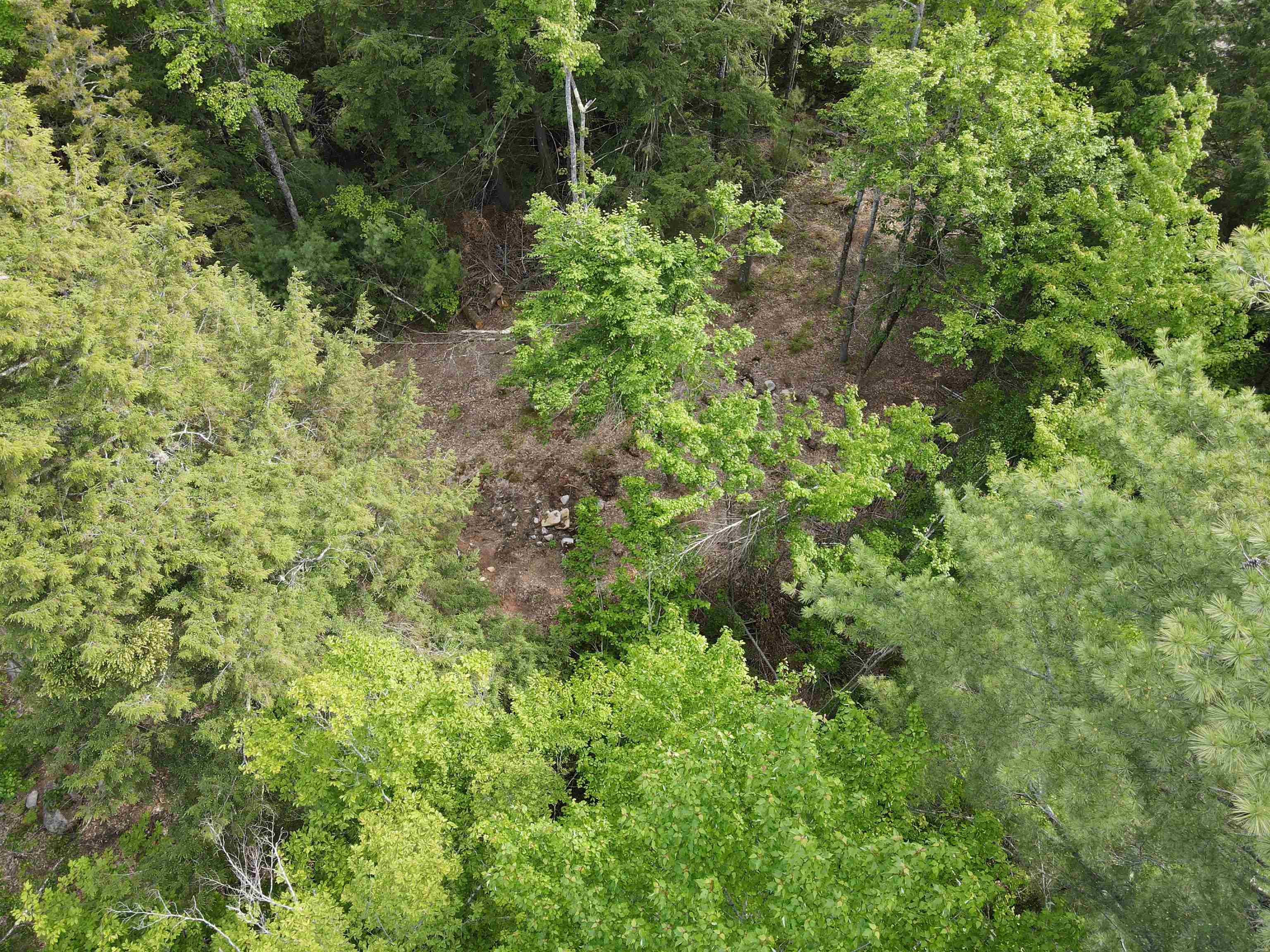 15 Adams Way Property Photo 5