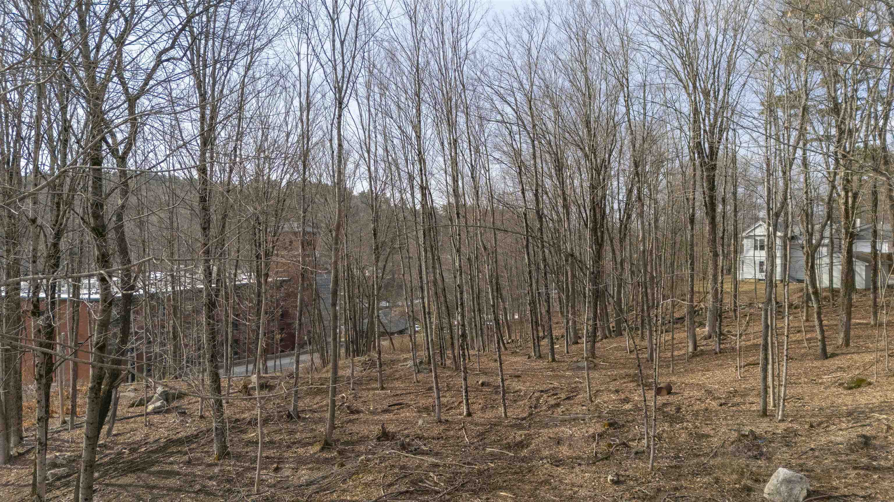 Lot 23 Sunapee Street Property Photo 5