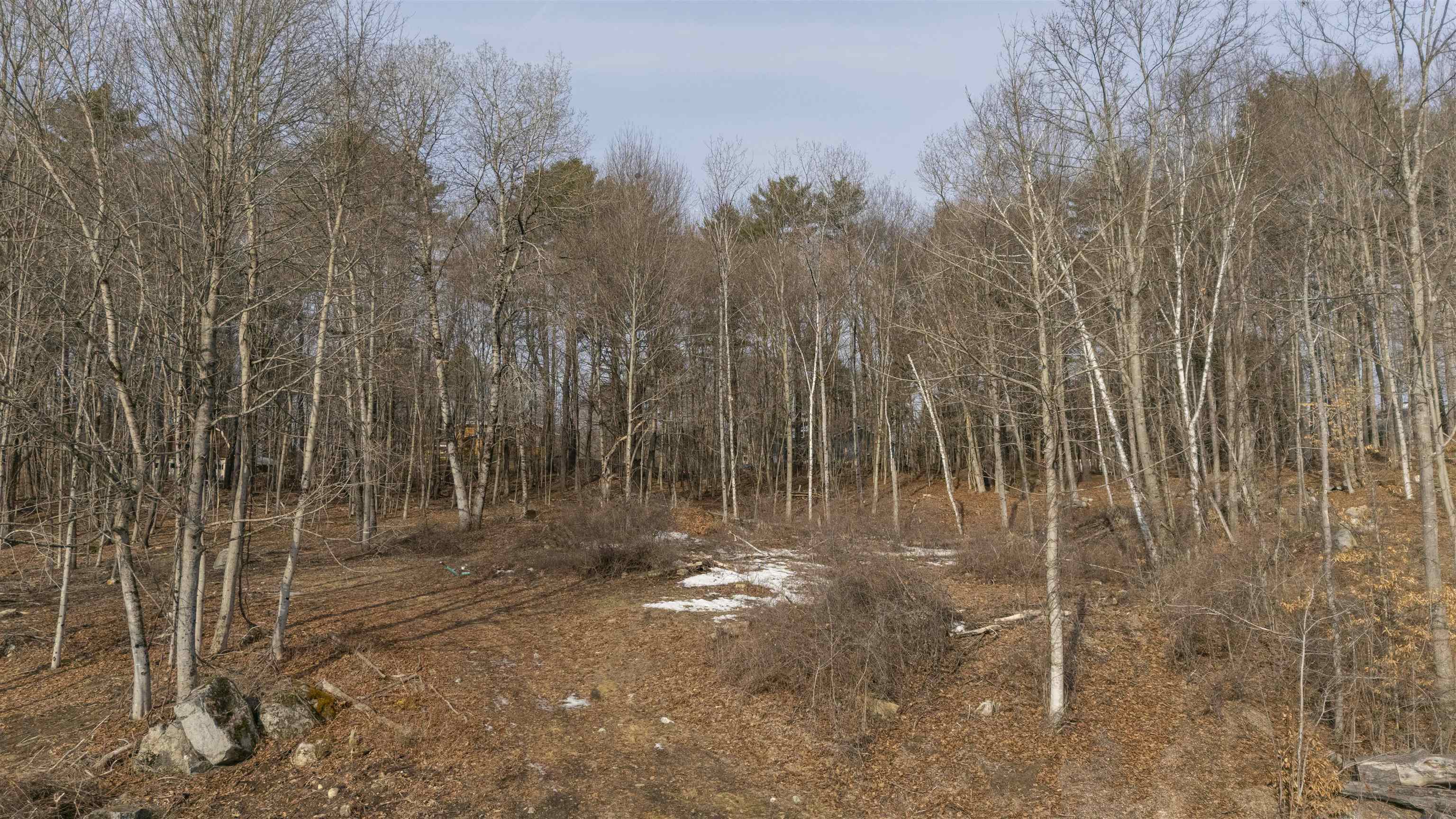 Lot 23 Sunapee Street Property Photo 15
