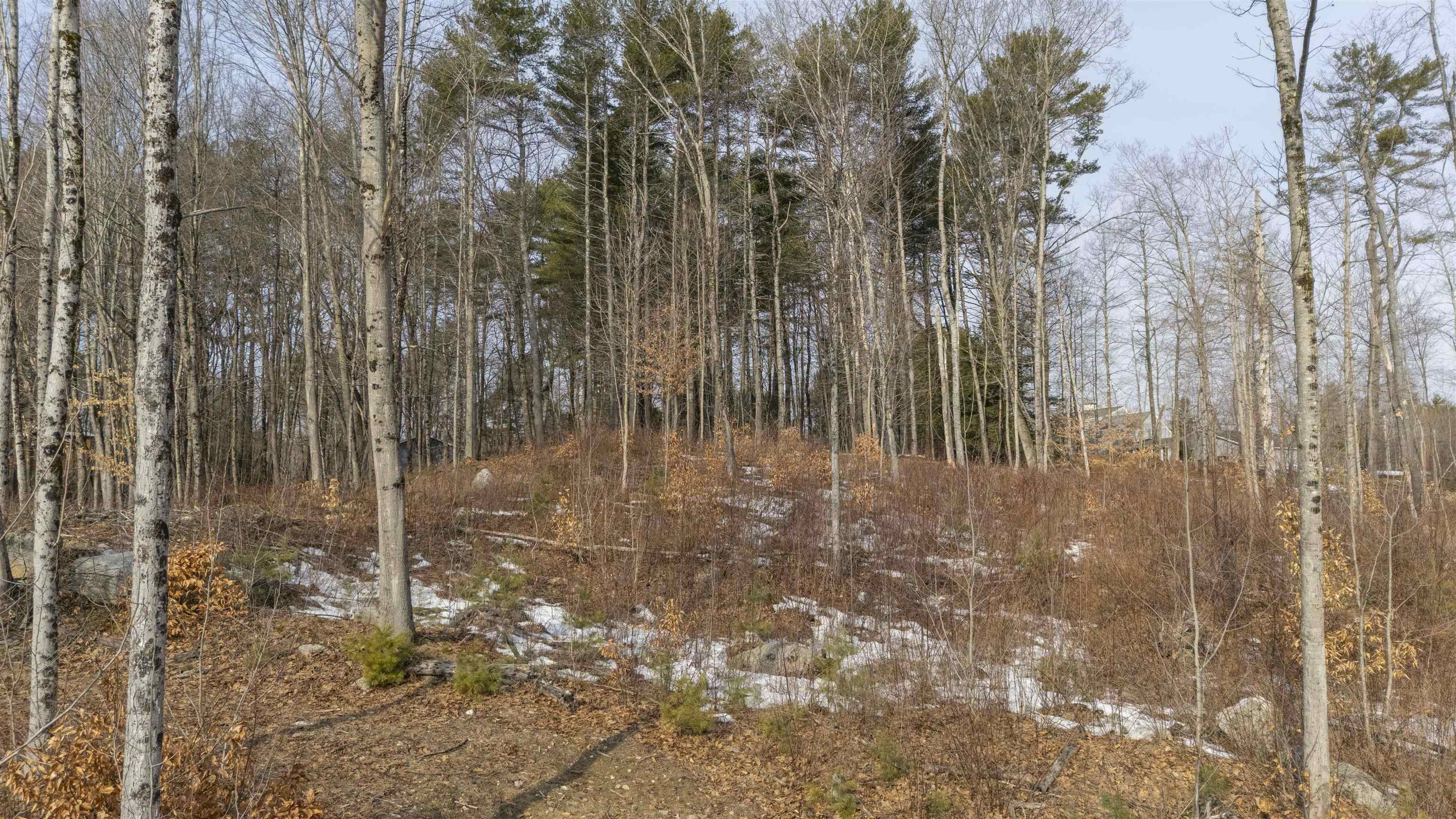 Lot 23 Sunapee Street Property Photo 16