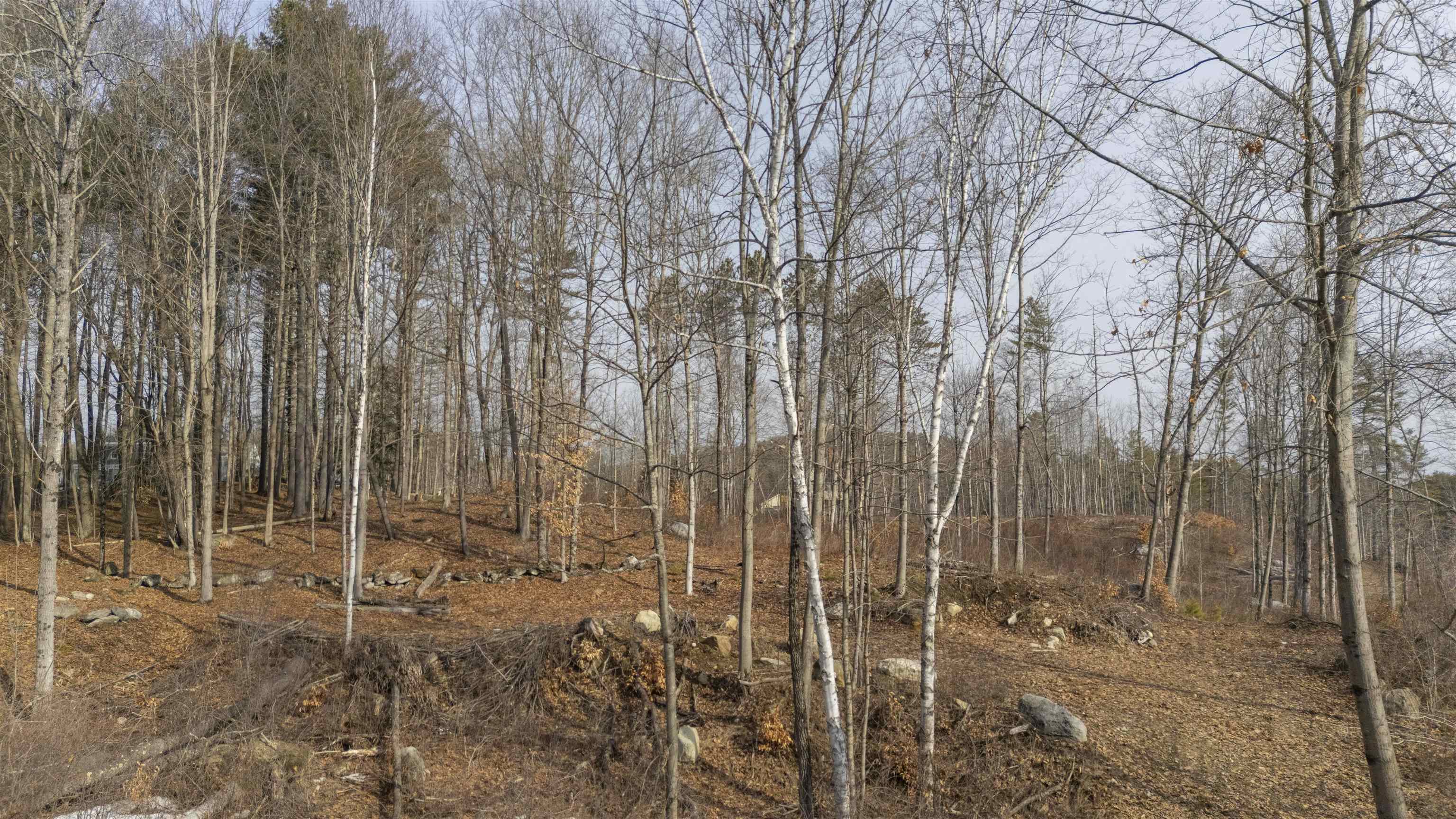 Lot 23 Sunapee Street Property Photo 17